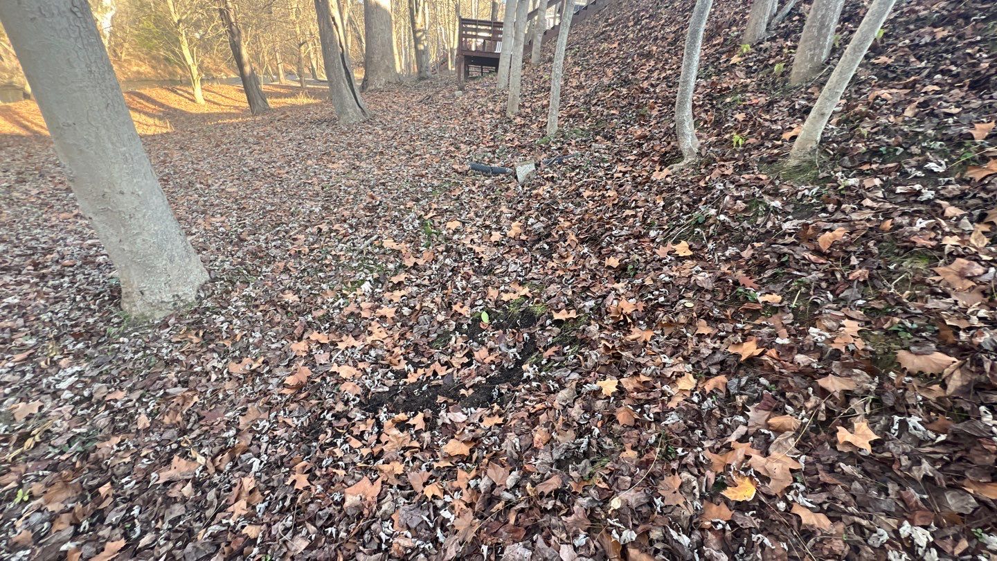 Gain unused yard space by GrassBusters, Inc.