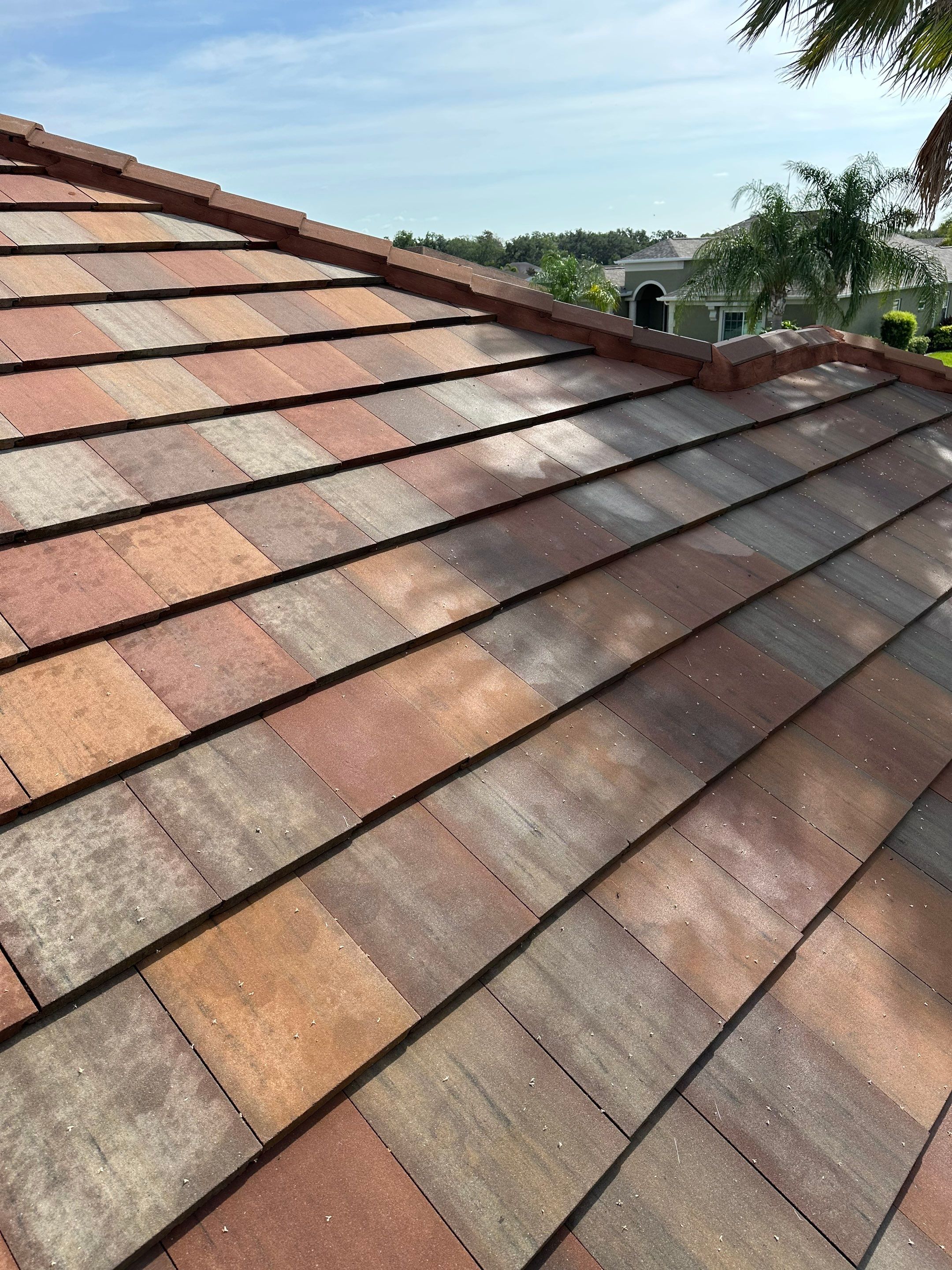 🏡 Tile Roof Cleaning – Gamble Creek Estates, Parrish, FL by Sunshine AquaWash