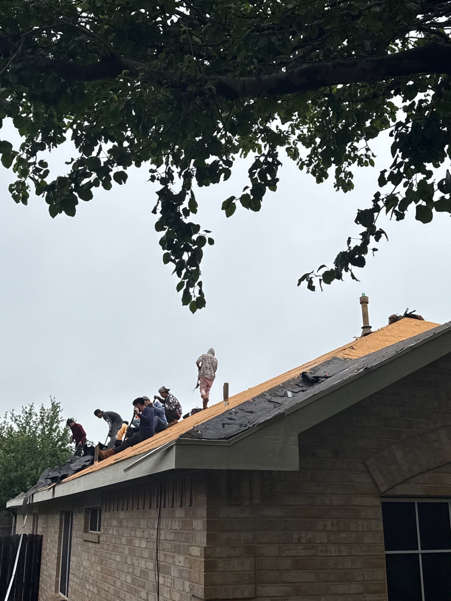 Project in Sachse by Rhino Roofing and General Contracting, LLC