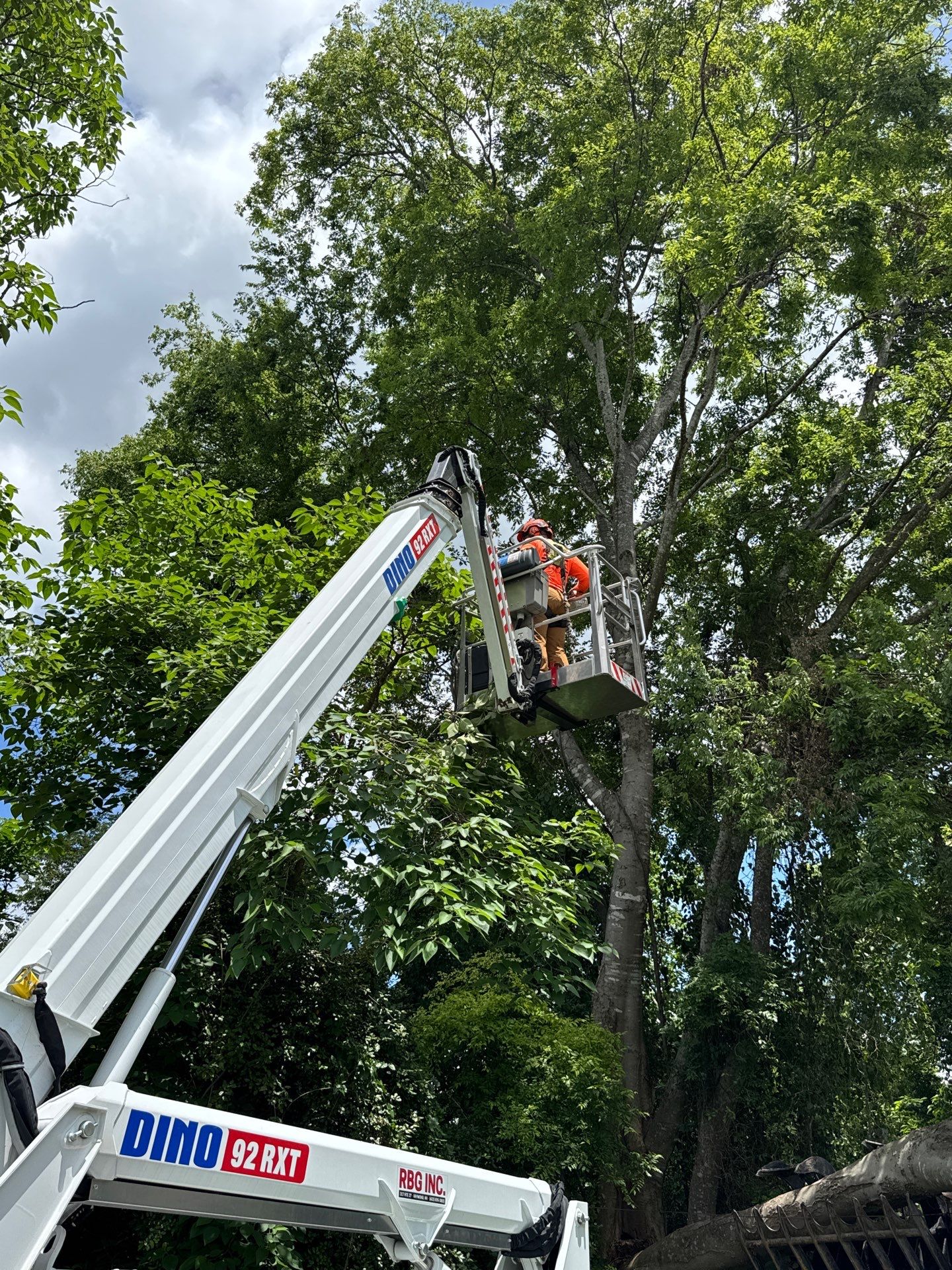 Crane-Assisted Emergency Removal by American Arbor