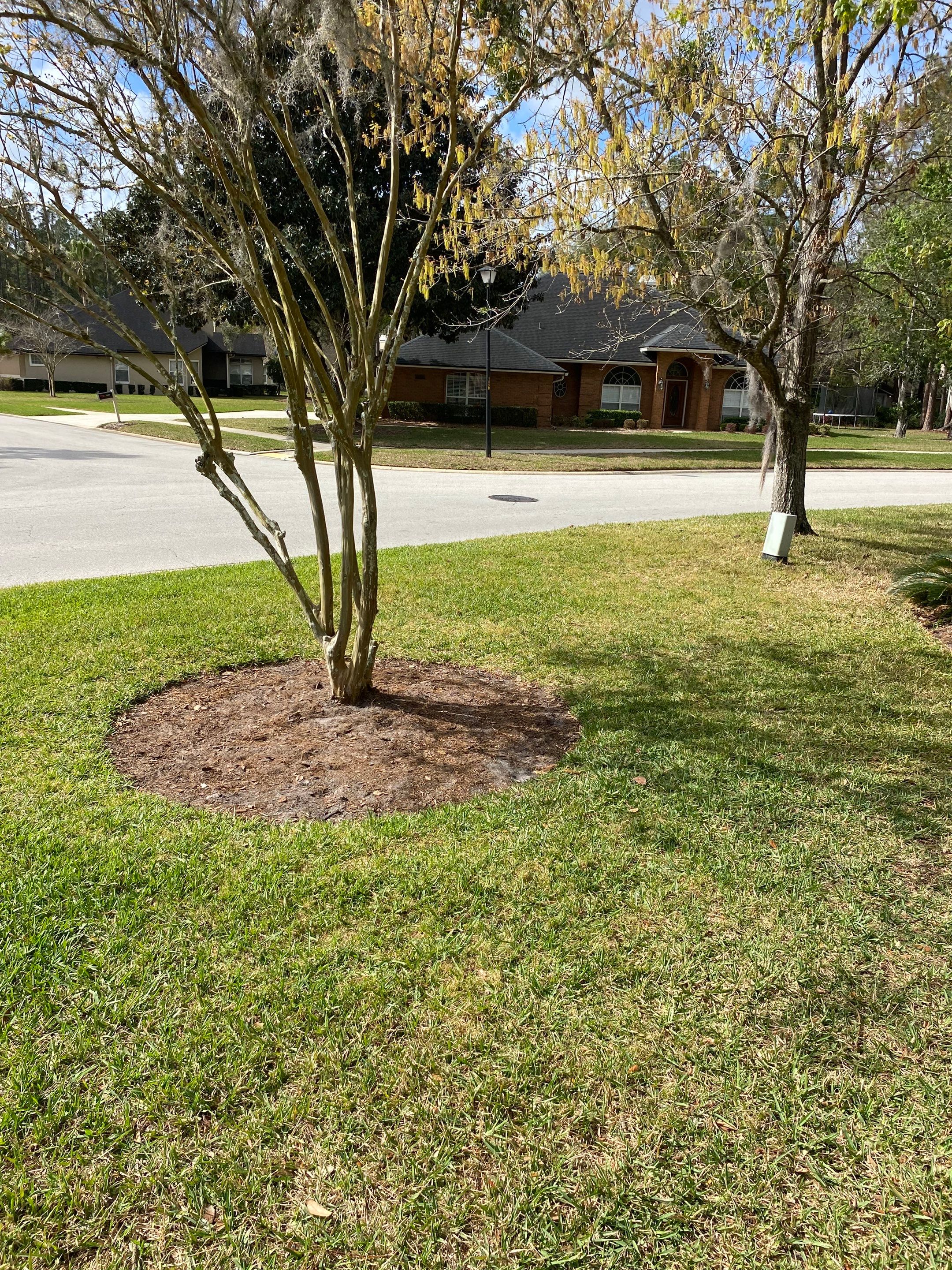 Residential | Landscaping by ProGreen Services