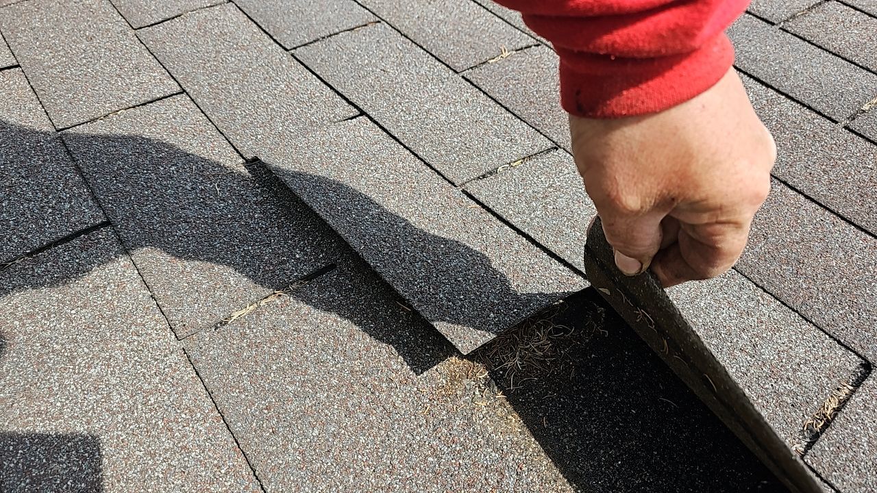 ATLAS PINNACLE COLOR: MORNING HARVEST by Eagle Eye Roofing