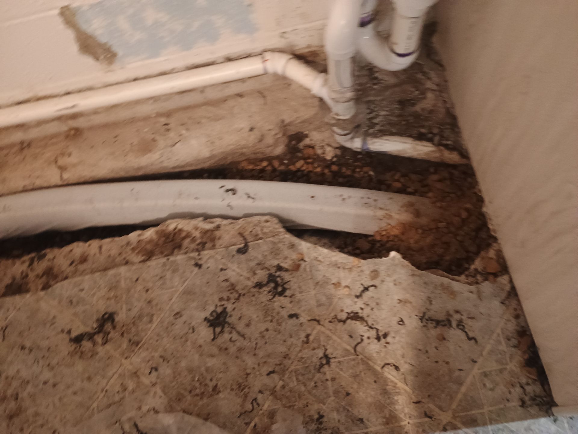 Drain Tile & a Sump Pump for our Property Management Partner by Waterproofing Northeast