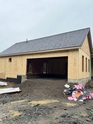 Project in Woodland 