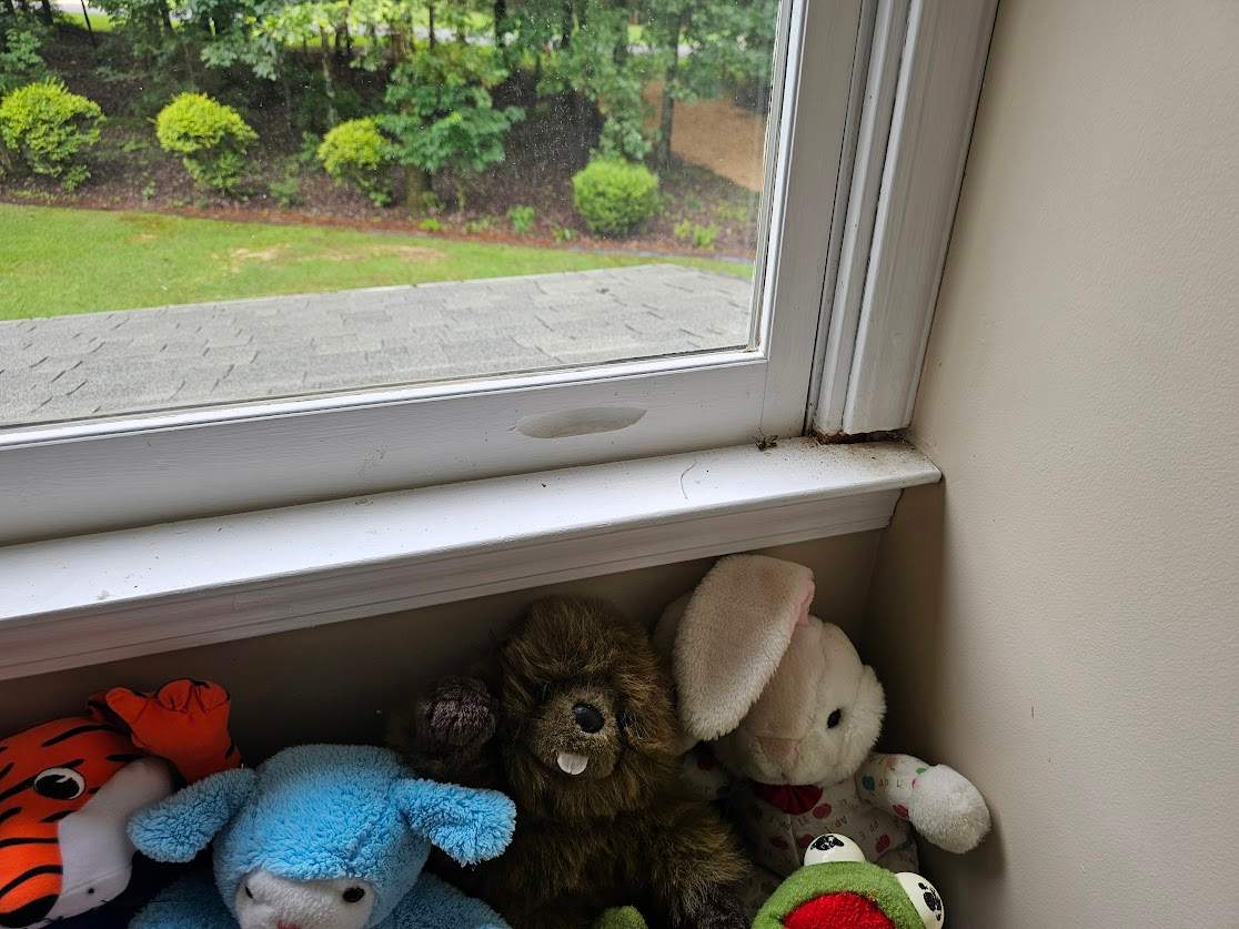 Smith Project in Alabaster by The Window Source