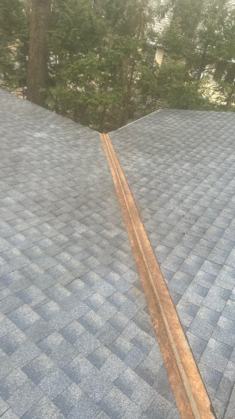 Bronx Roof and Gutter Cleaning by Above All Gutters