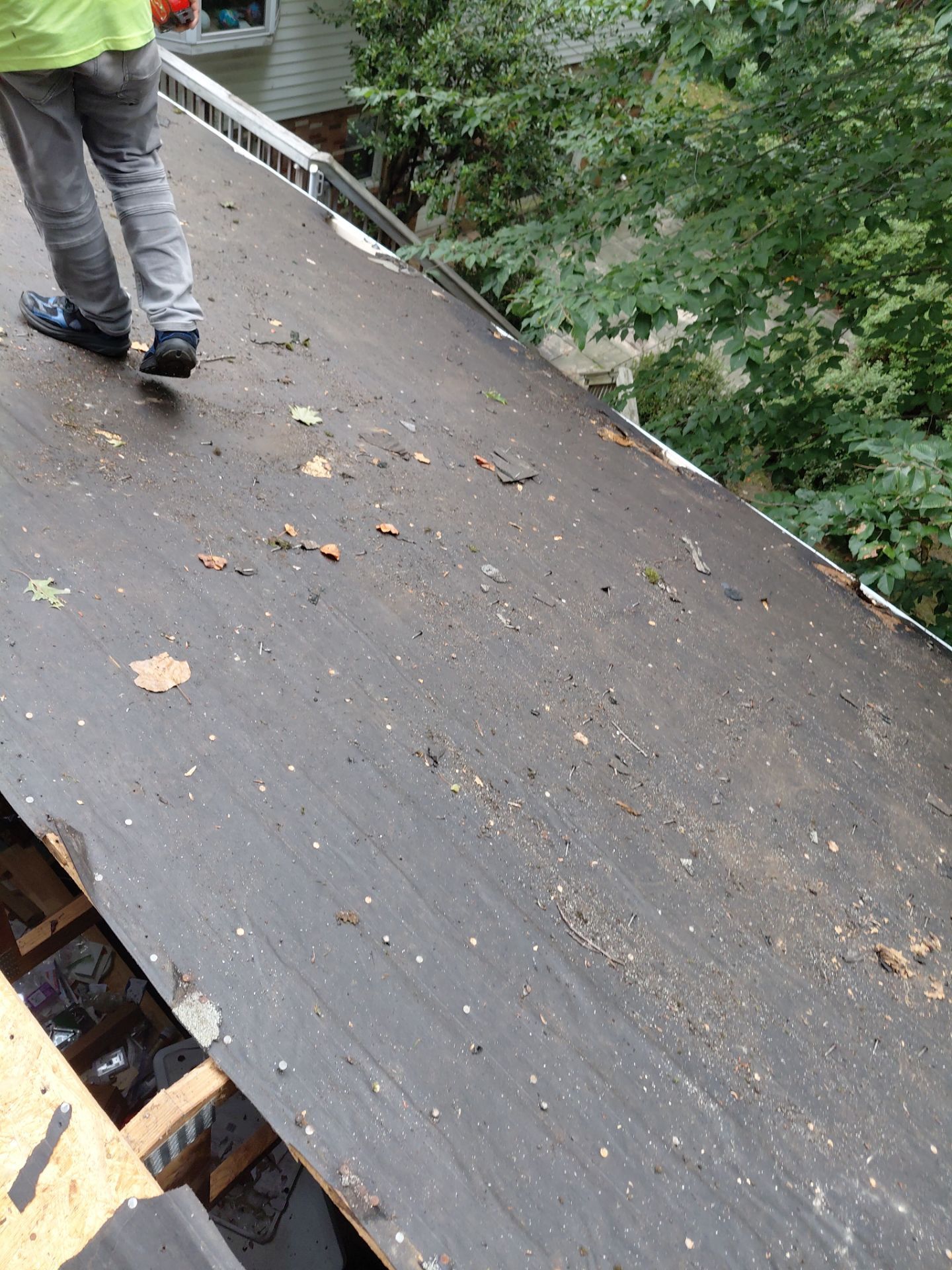 Springfield : with CertainTeed Landmark Pro in Max Def Cobblestone Gray  by RM Banning, Inc.