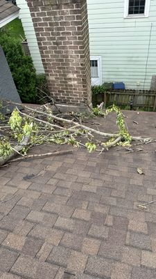 Turtle Shell gutter protection installation in Naperville, IL 60563, photograph 7