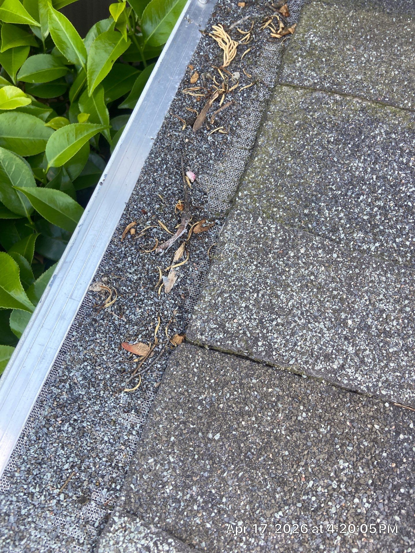 Roof Rejuvenation using Roof Maxx Treatment by Roof Maxx of Folsom