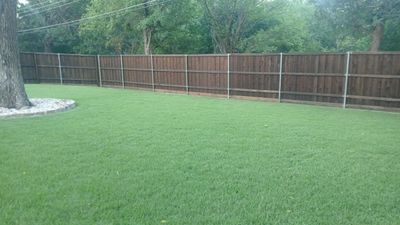 Project in Dallas