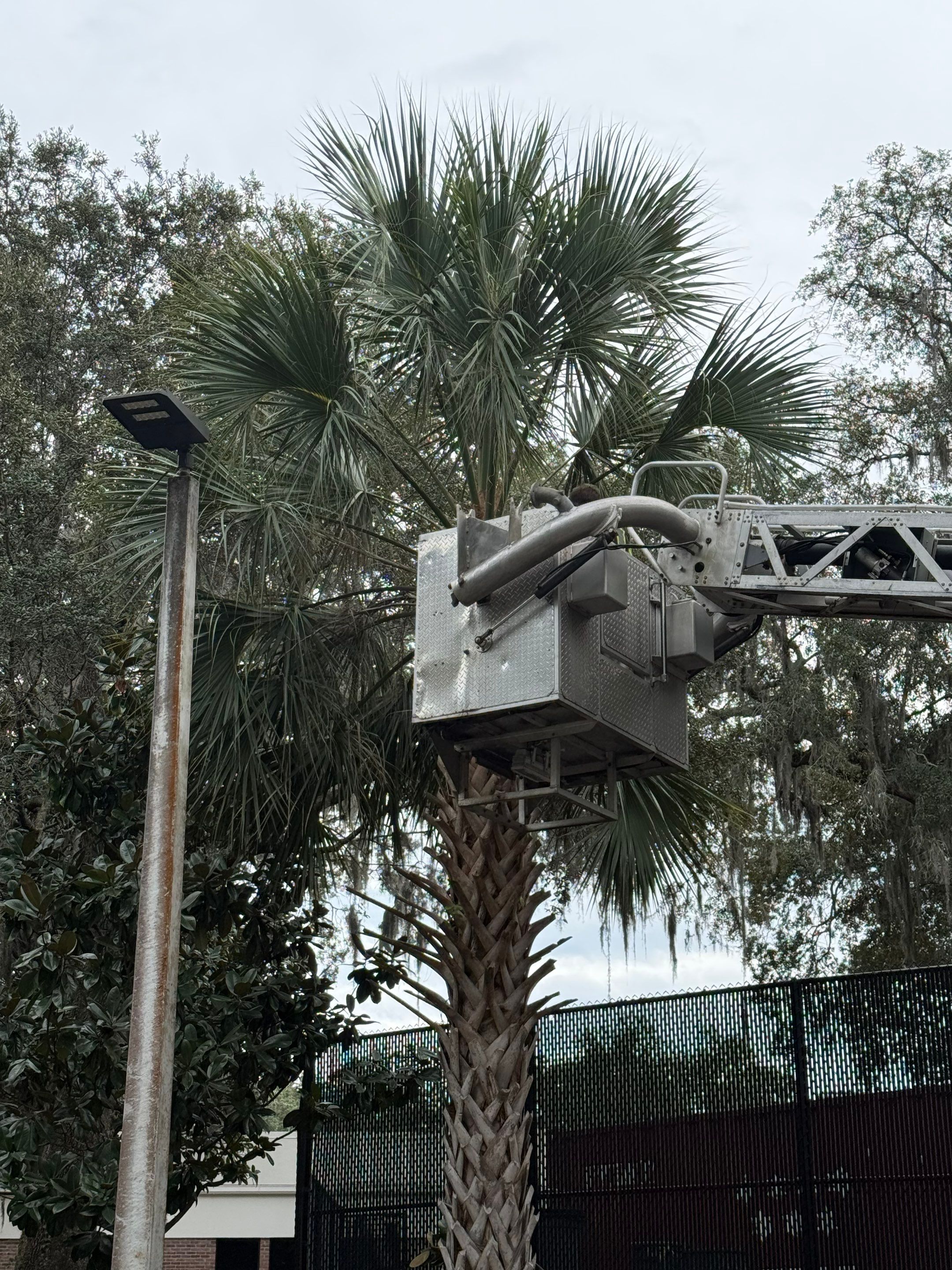 Volunteer Work | Episcopal High School of Jacksonville by ProGreen Services