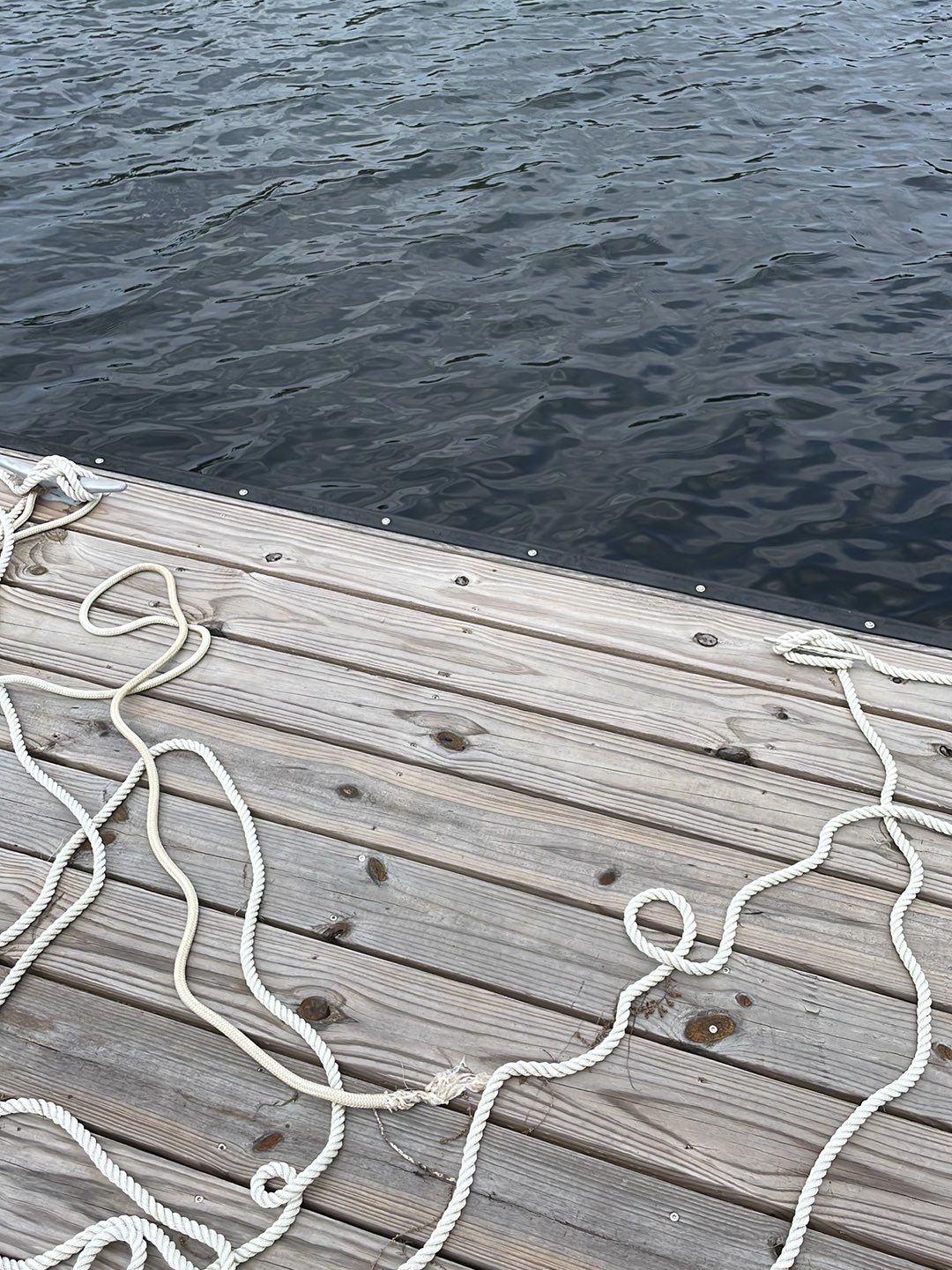 Dock using Wood Sealant by DuraSeal
