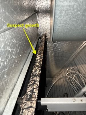 Air Duct Cleaning in Groveland
