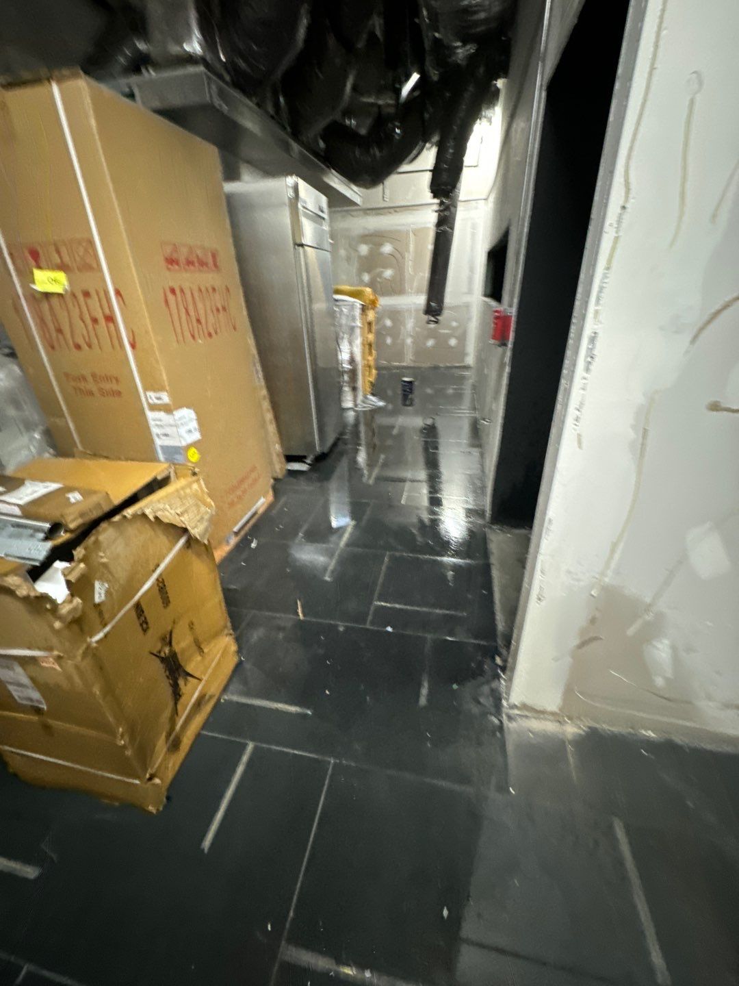 Project in Royal Oak by EzDry Water Mitigation & Property Restoration