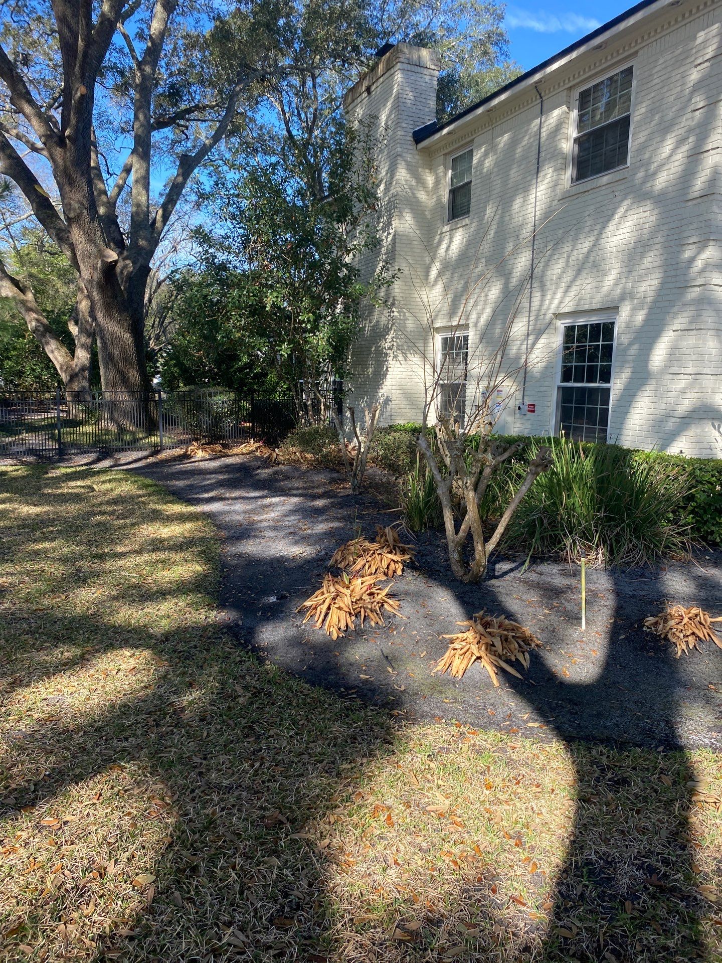 Deerwood Resident | Tree Removal & Install by ProGreen Services