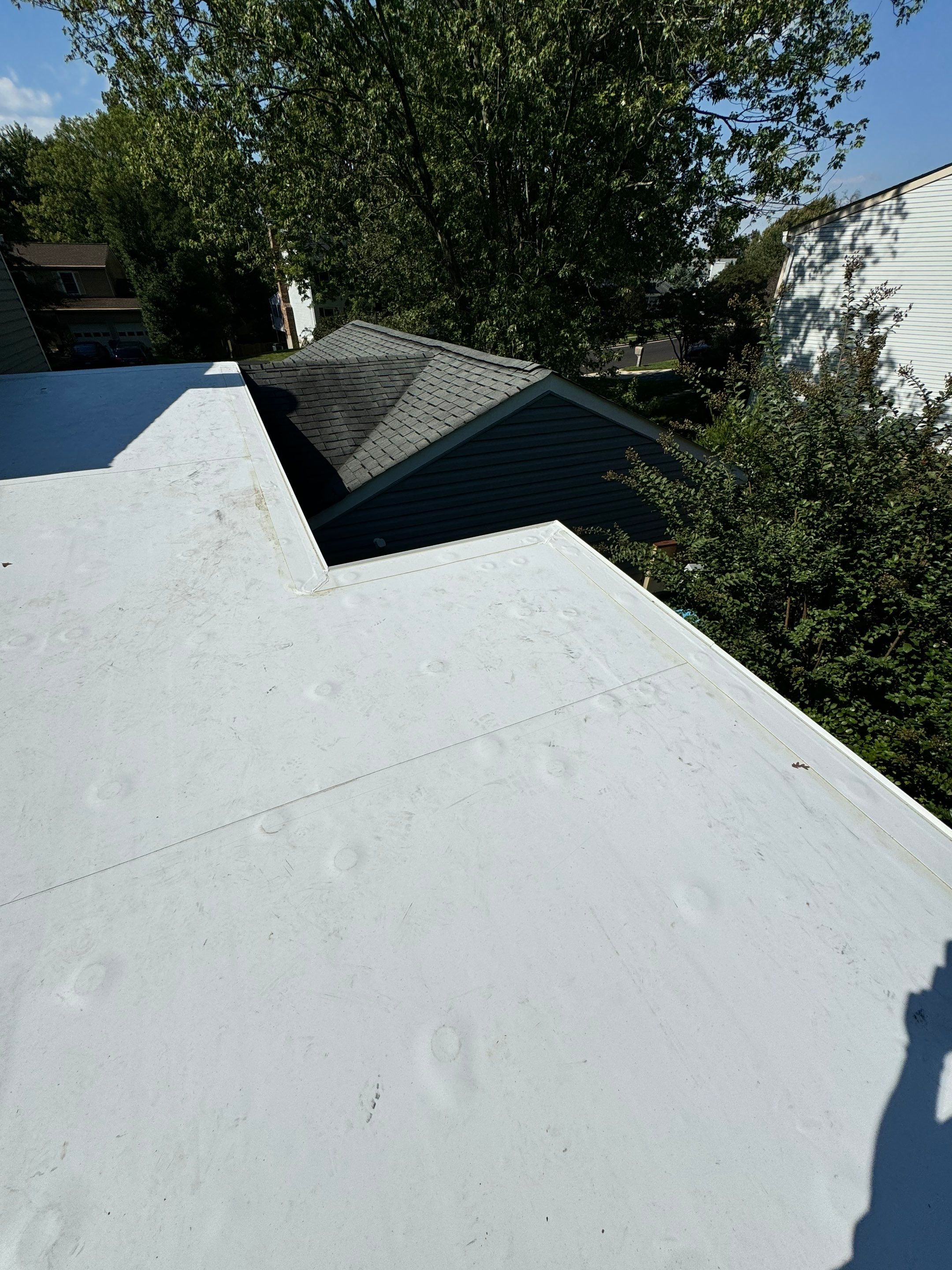Alexandria: Residential Flat Roof Replacement with MuleHide TPO by RM Banning, Inc.