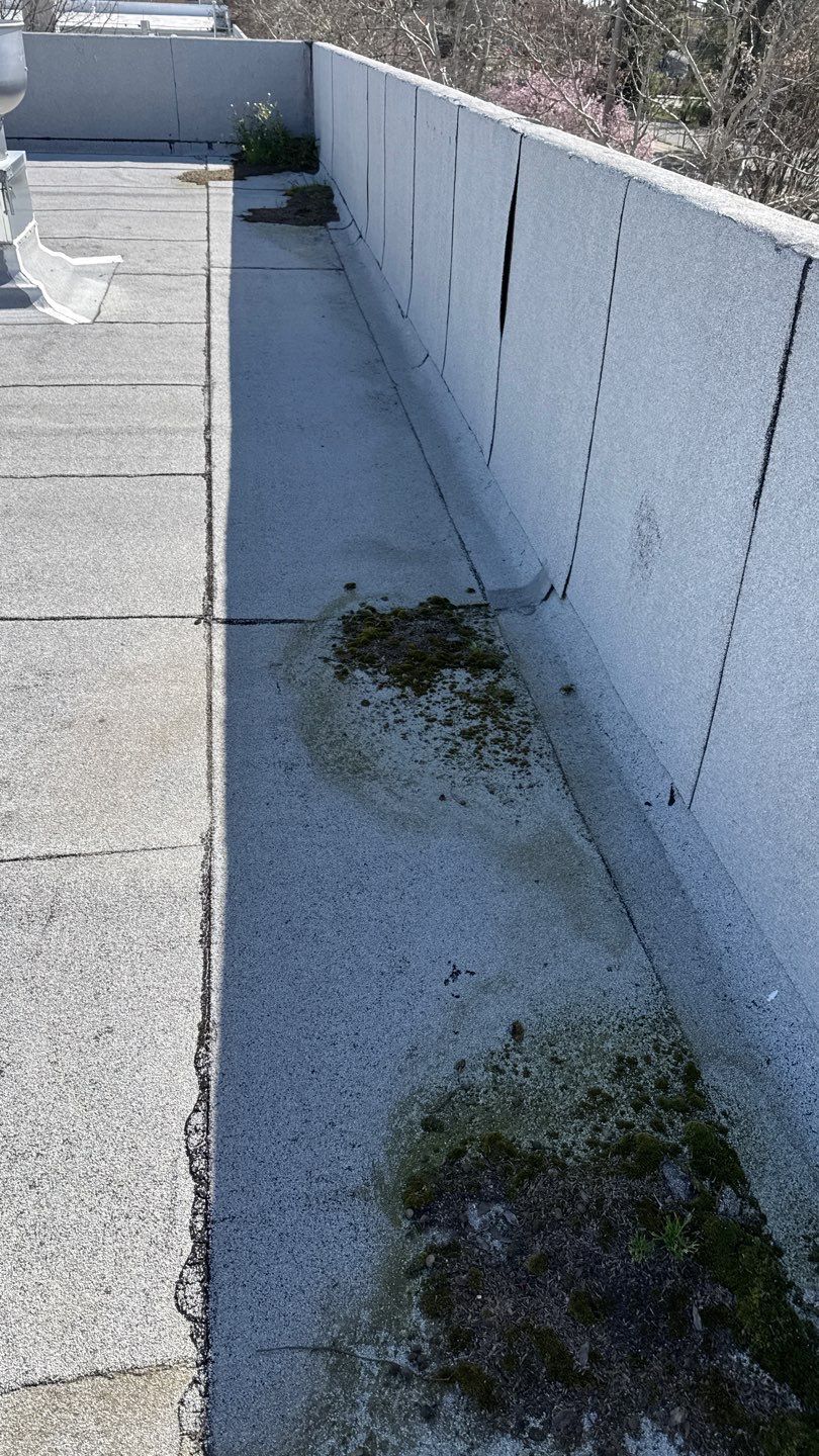 Project by NuLead Construction Inc by NuLead Construction Inc