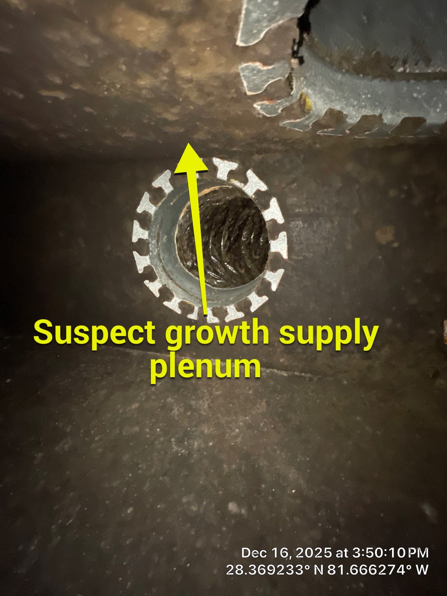 Air Duct Cleaning Encapsulation in Clermont by Hygienic Air, Inc