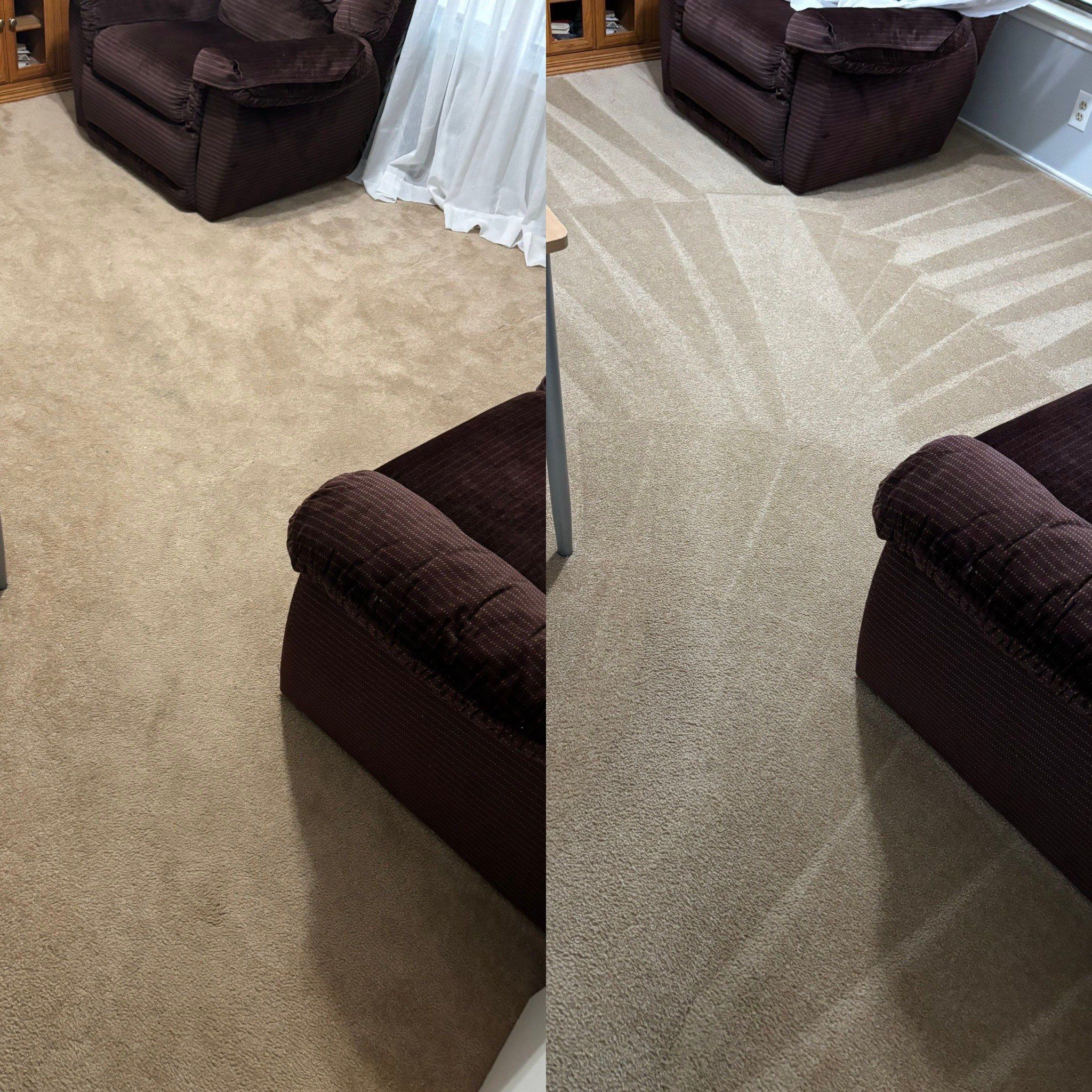 the service shown is carpet cleaning revitalizing the surface removing dirt and stains to enhance appearance and freshness