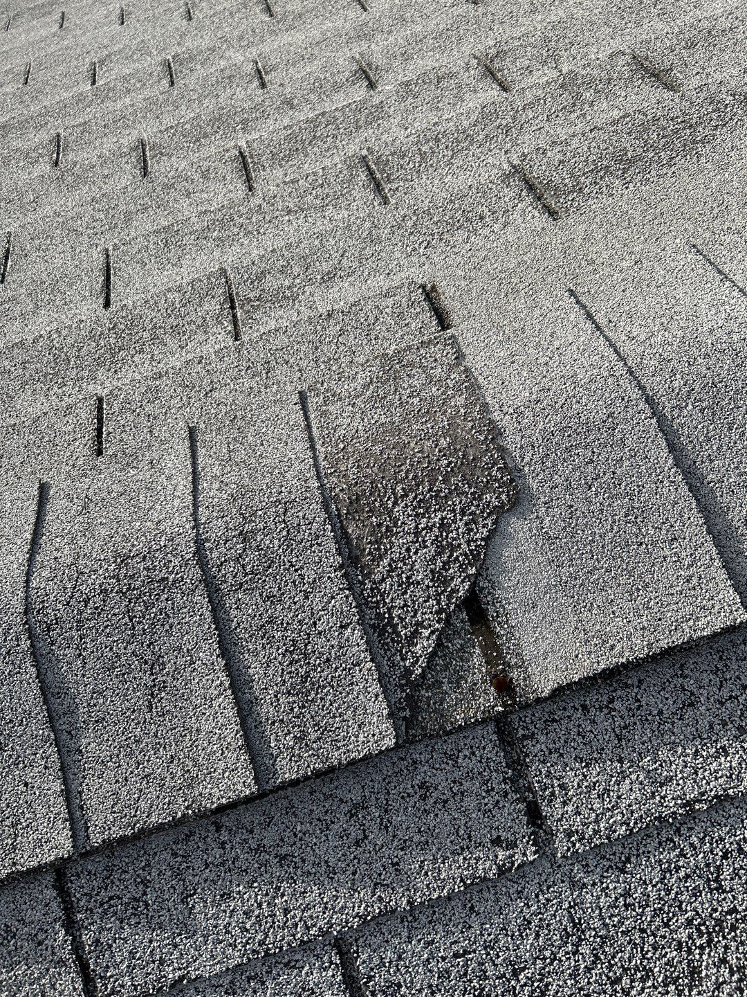 Walter's Full Re-Roof (Energy Star) by All Storm Roofing & Construction