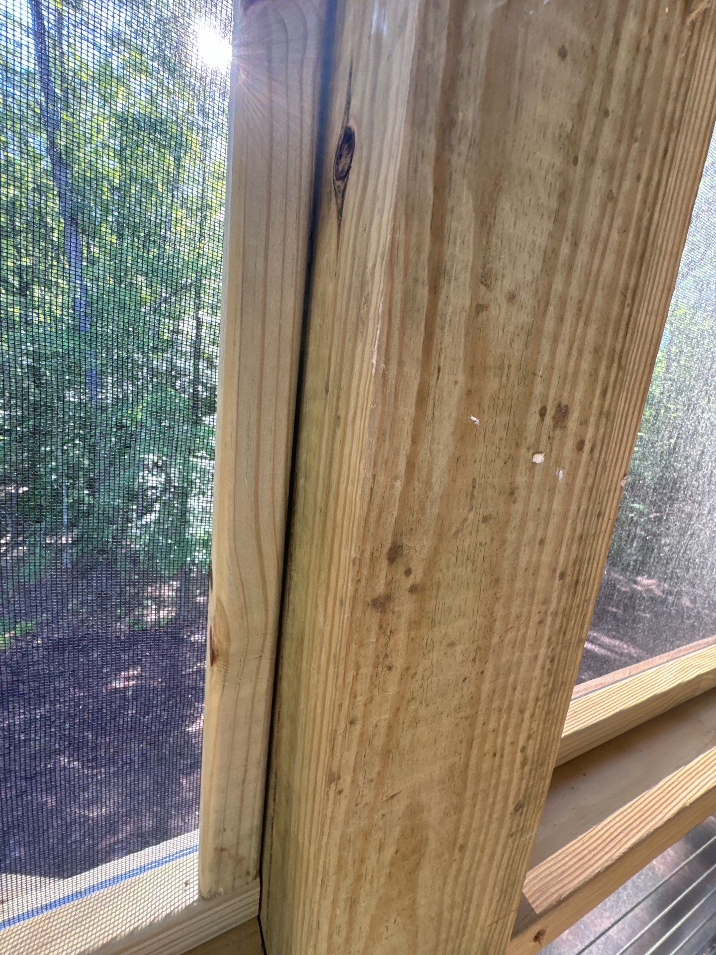 Porch and Deck staining  by GonzalezPainters & Contractors Inc 