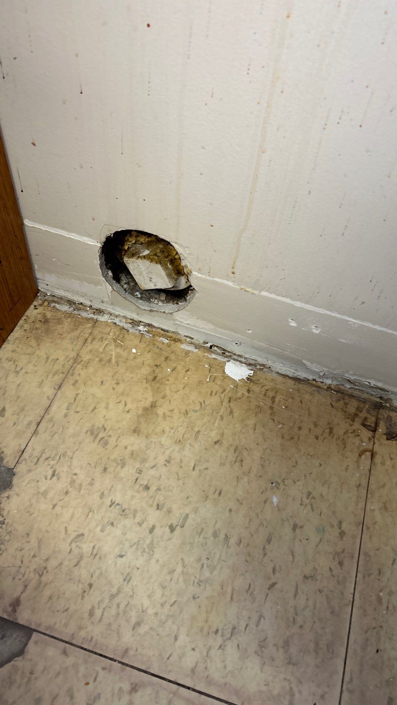 Mold Remediation by Accountable Home Services