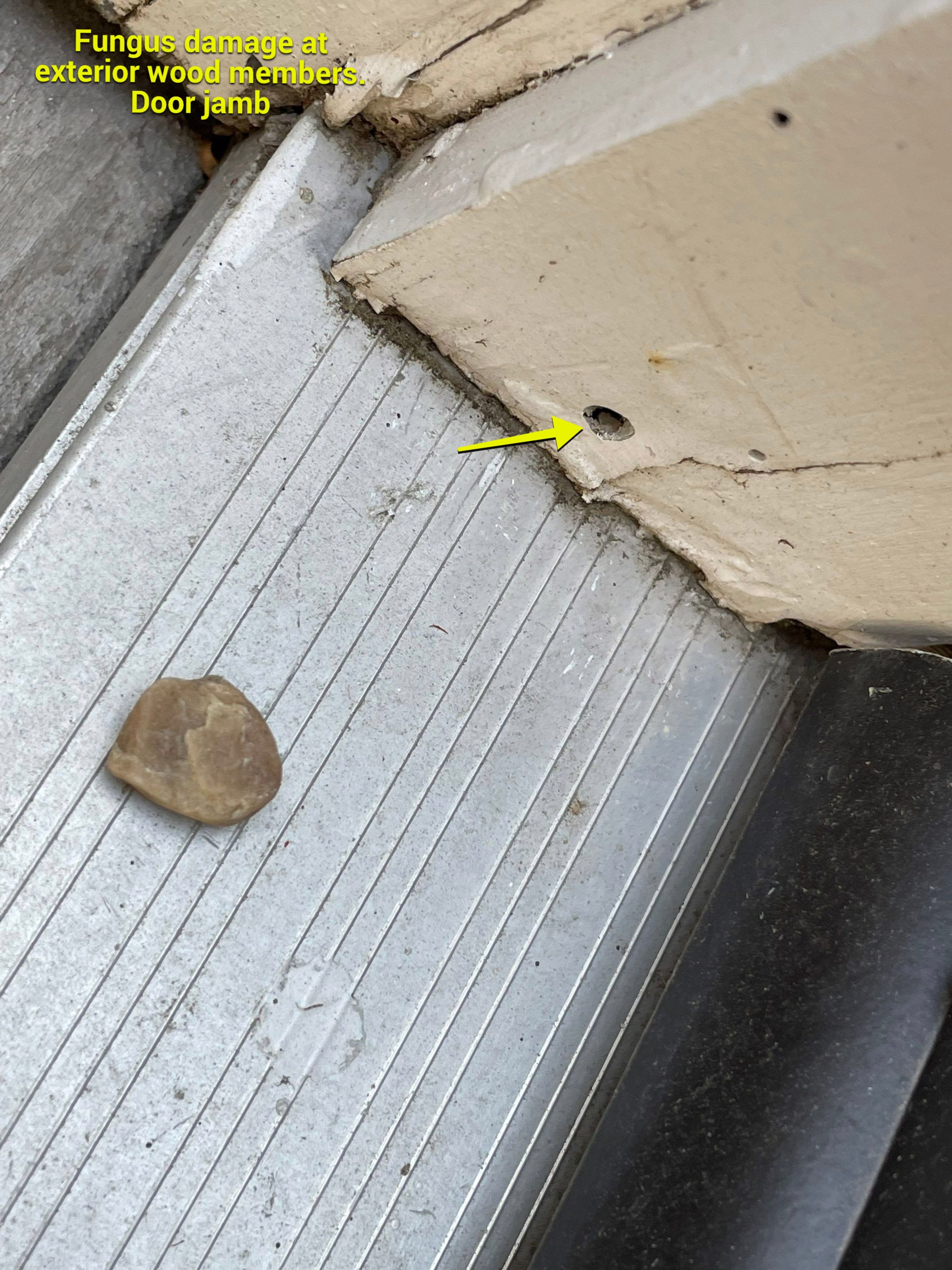 Wood Destroying Organisms Report by GLOBAL Termite Solutions