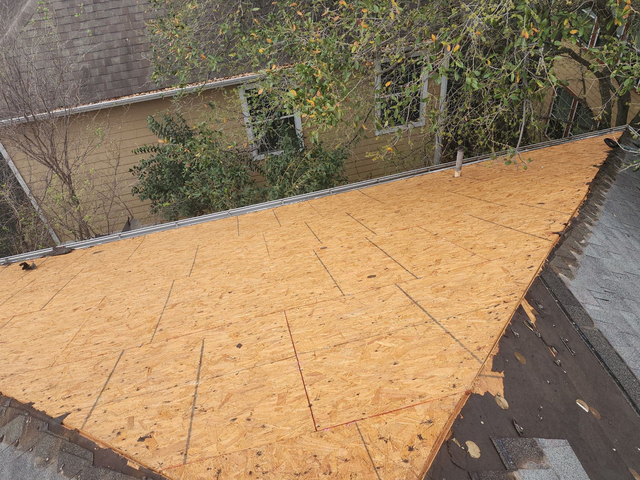 Tall, tall, tall by REPS Austin Area Roofer