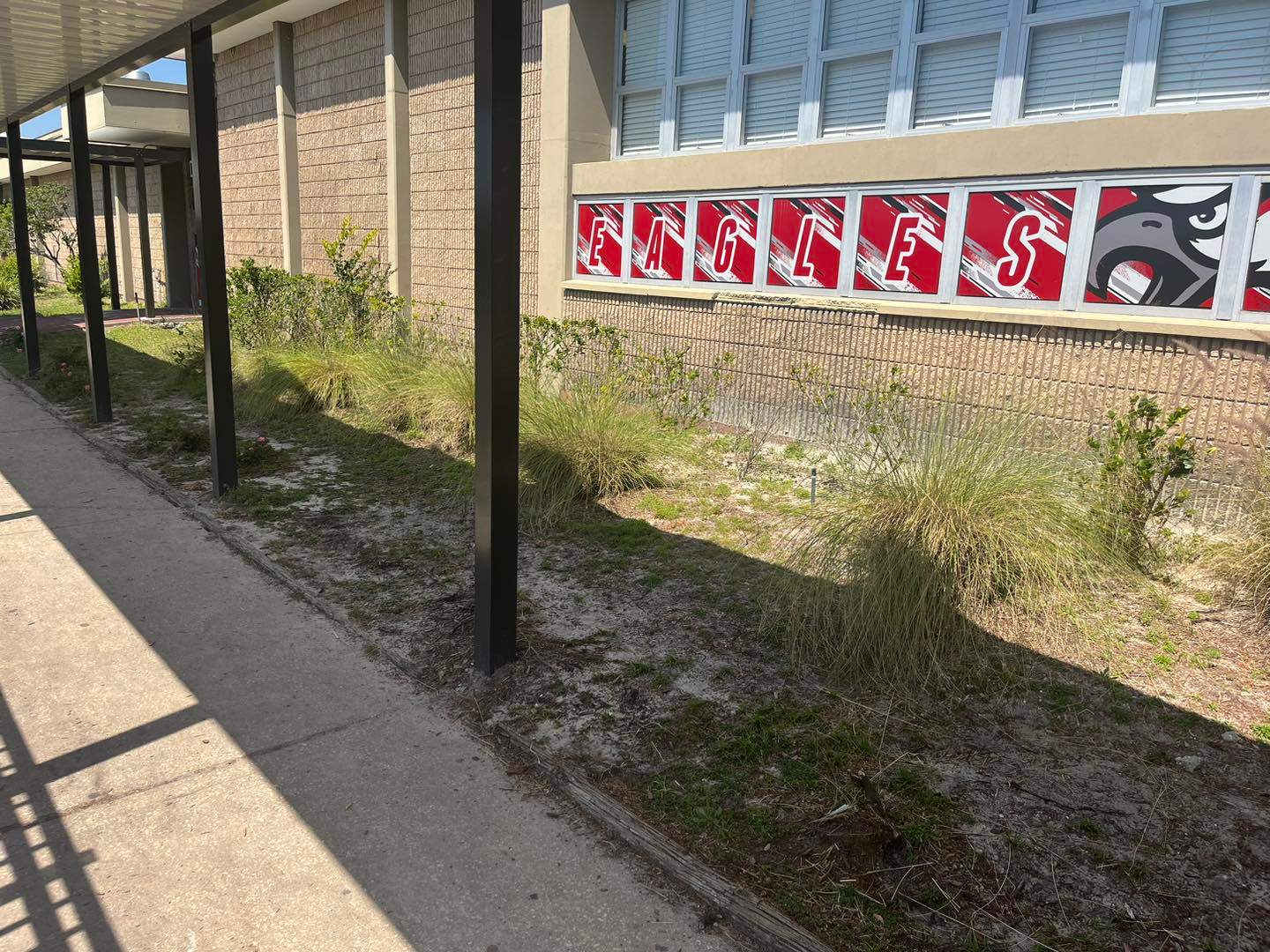 Landscape Install | Wilkinson JHS by ProGreen Services