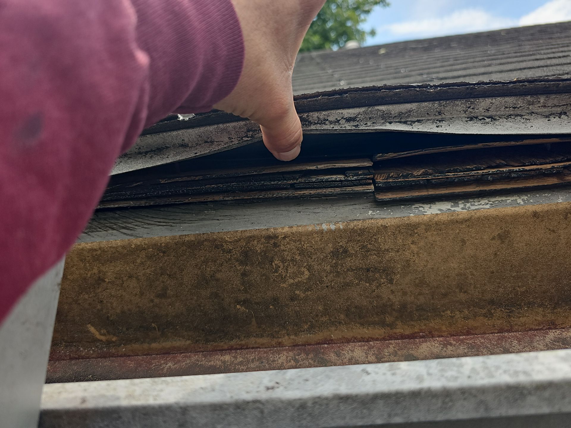 Roof Replacement by Winchester Roofing