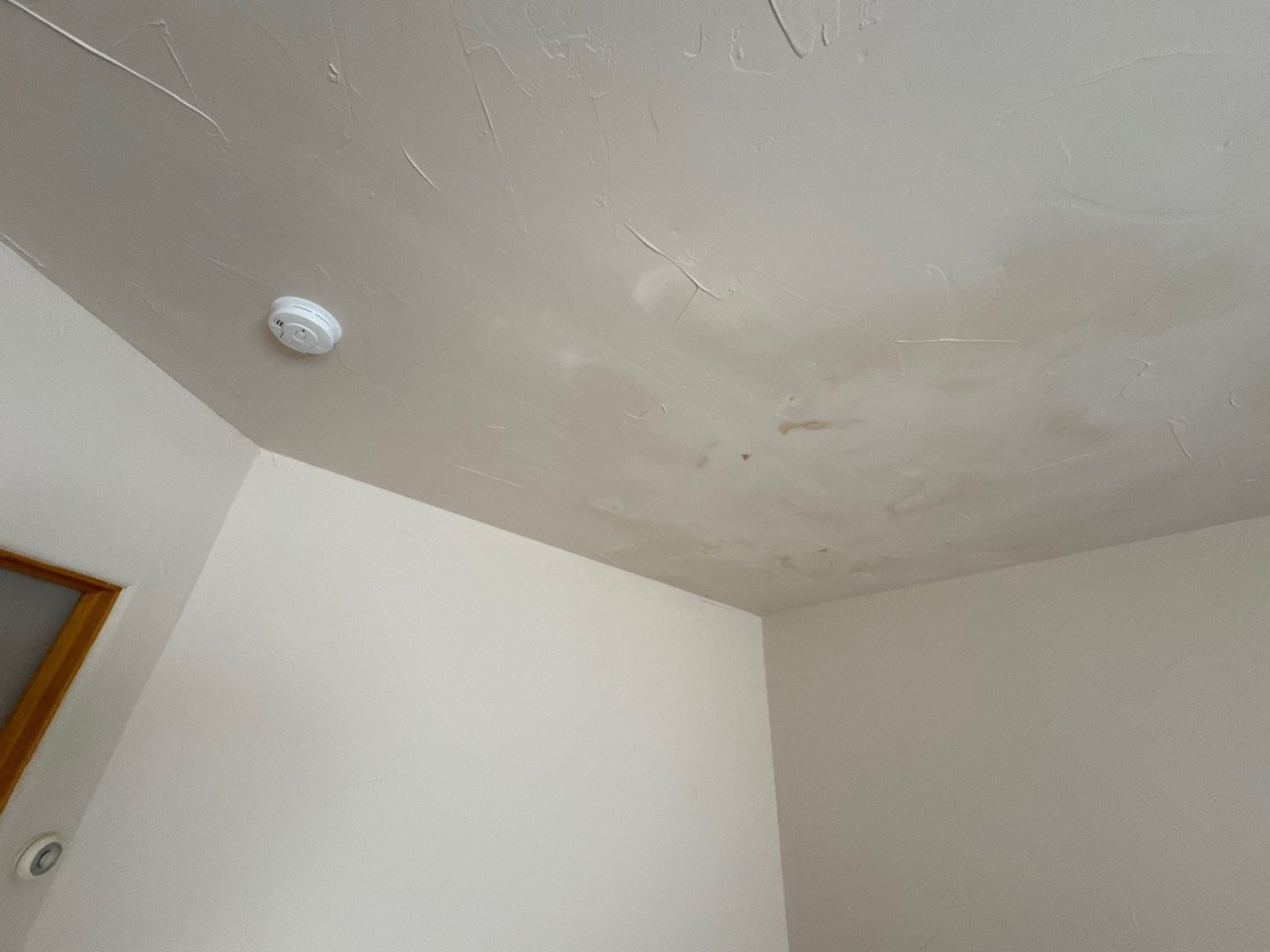 Mold Damage Project in Castle Rock by Accountable Home Services