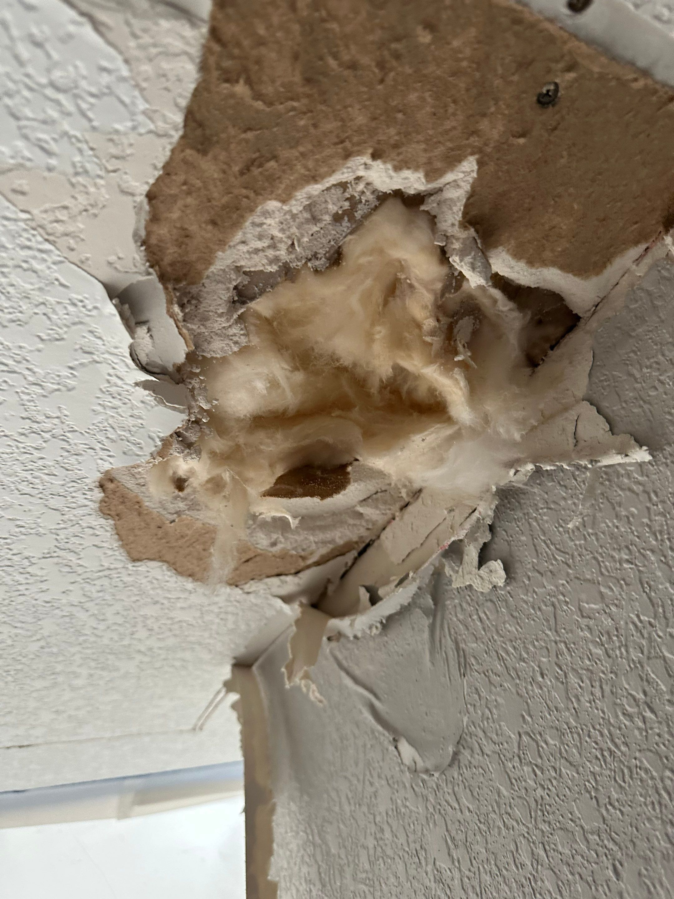 Mold Remediation in Denver, CO by Alpha Restoration 