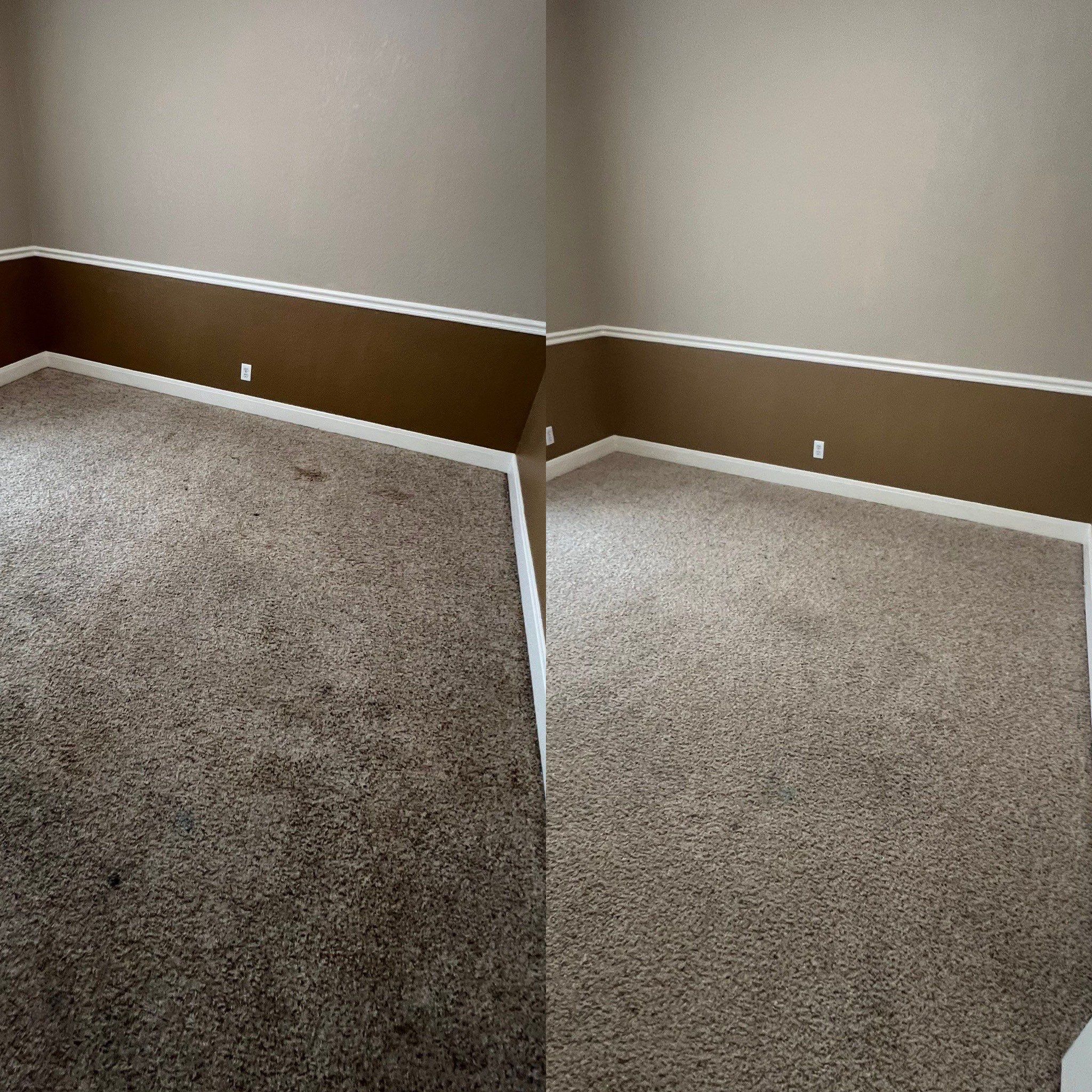 the service shown is deep cleaning of carpeted floors removing stains and dirt restoring cleanliness and appearance of the surface