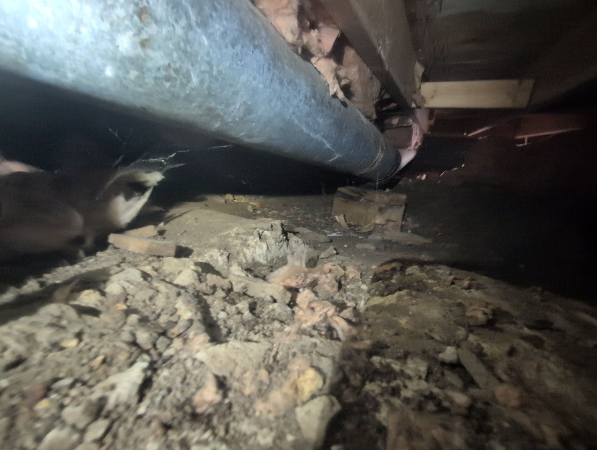 Crawlspace Encapsulation in Glenshaw PA by Home Environment Solutions