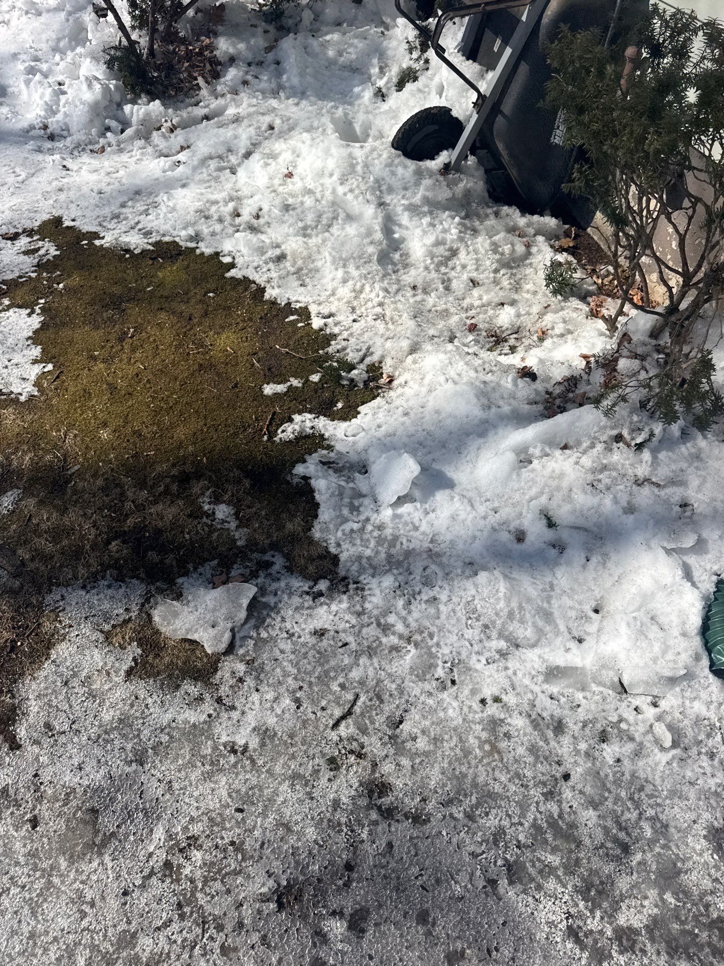 Snow/Ice Belt & Ice Dam Removal Project in Woburn by Mighty Dog Roofing of Greater Middlesex County