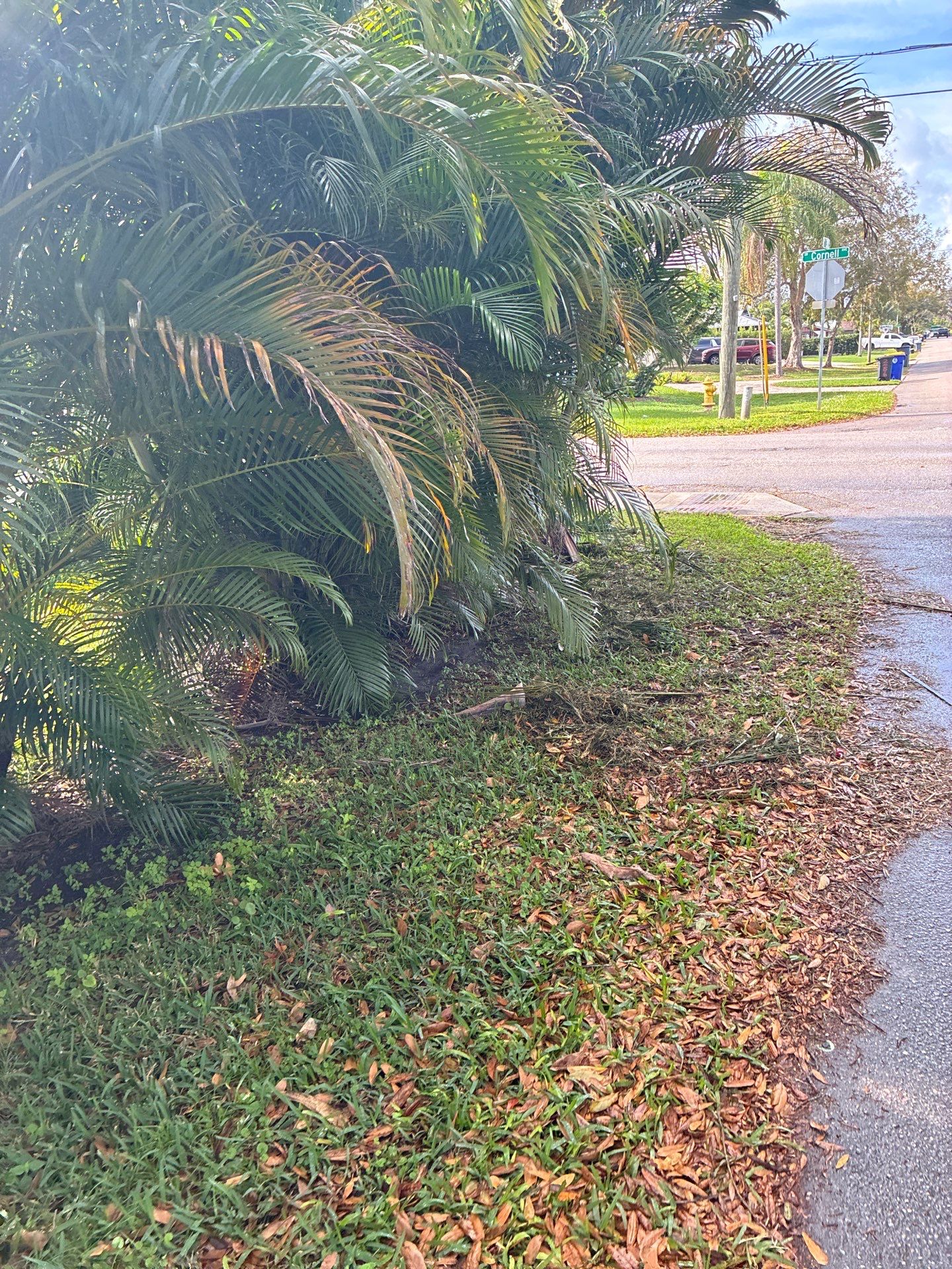 🏡 Pre-Sale Property Cleanup in Old Palm City, FL by Alpha Zeta Enterprises Inc