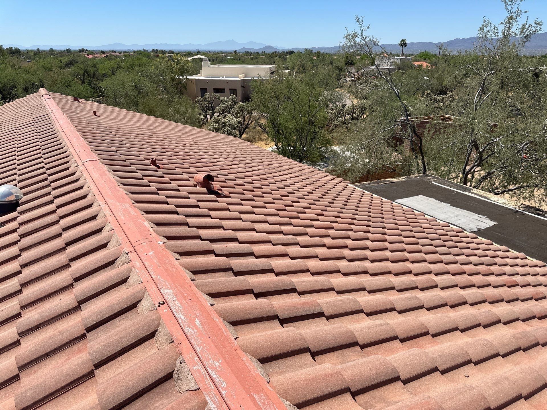 Galvanized Steel Exposed Fastener by Reimagine Roofing
