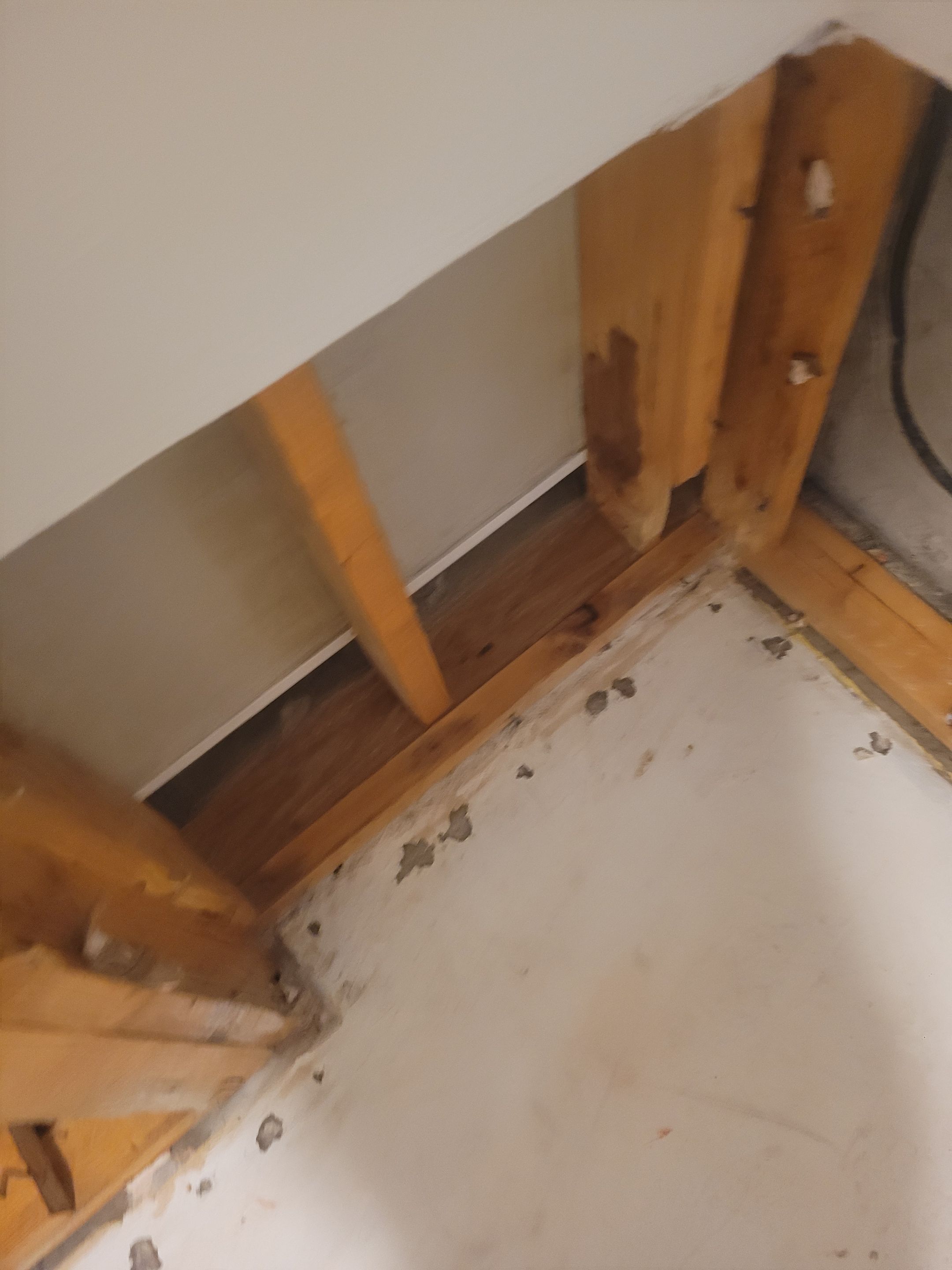 Water Damage  by Accountable Home Services