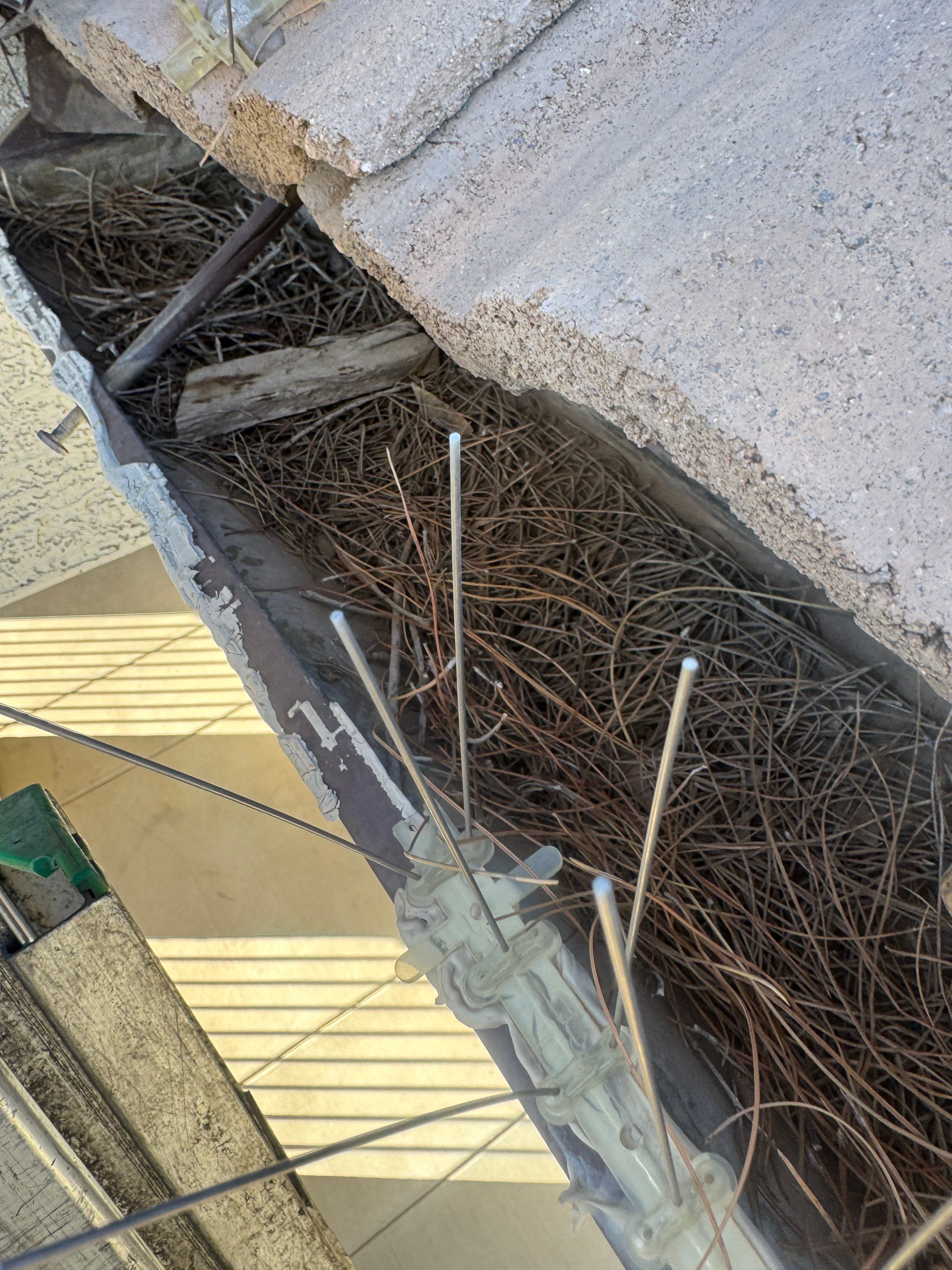 Commercial gutter cleaning Surprise & Goodyear, AZ before photo with filled gutters