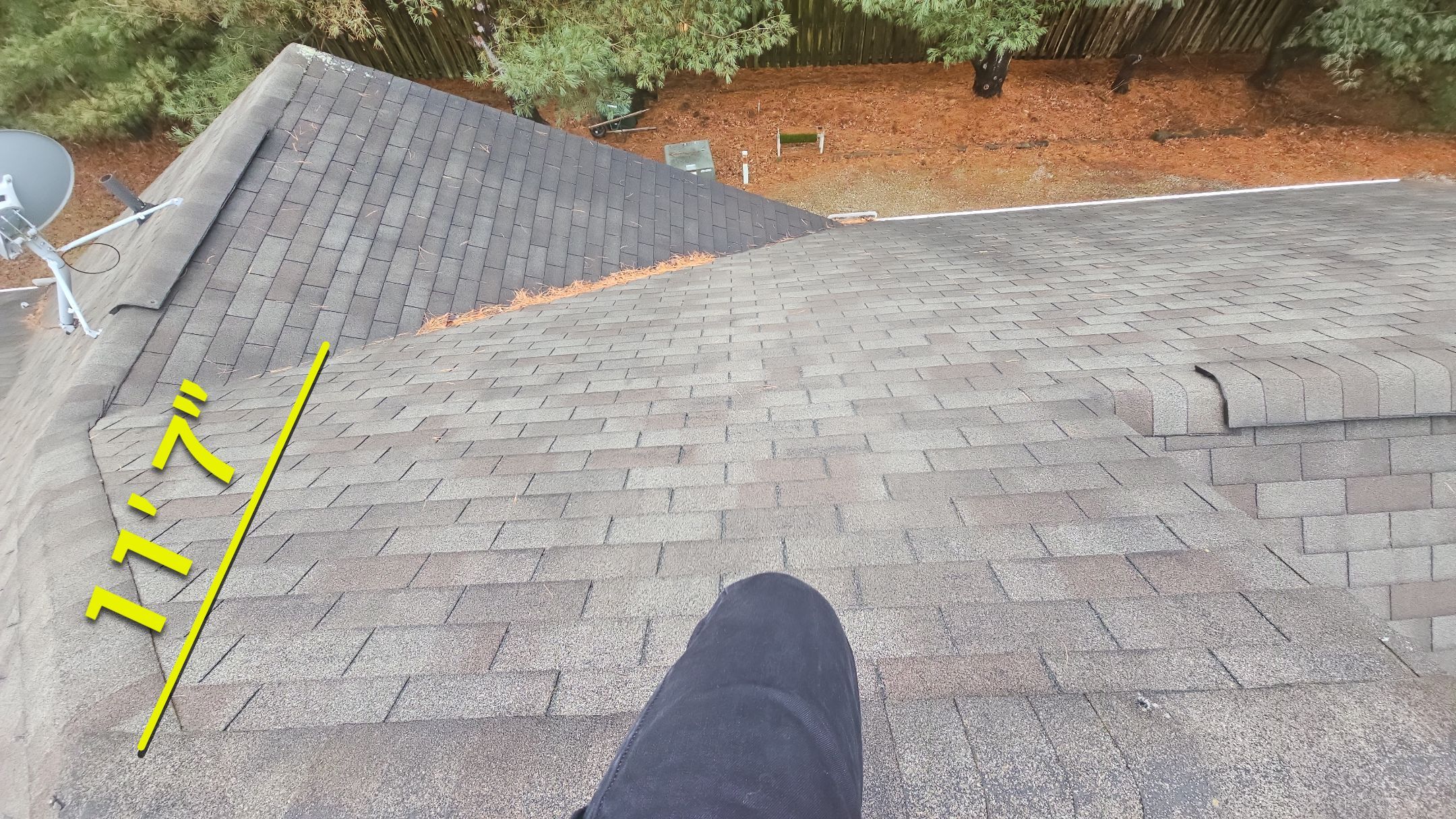 Alpha Rib, Color: Forest Green by Eagle Eye Roofing