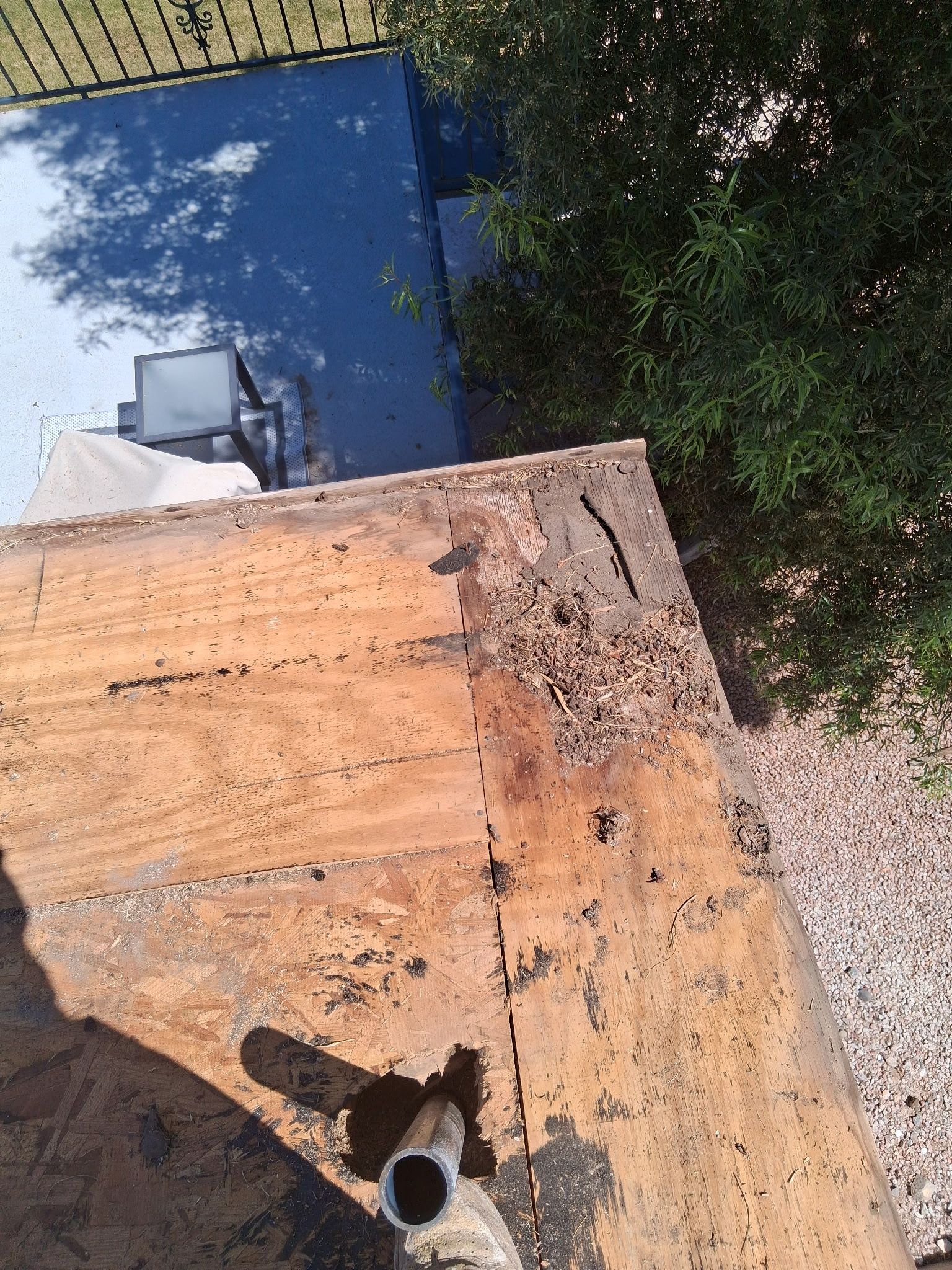 Project in Phoenix, AZ by Showtime Roofing & Coatings LLC