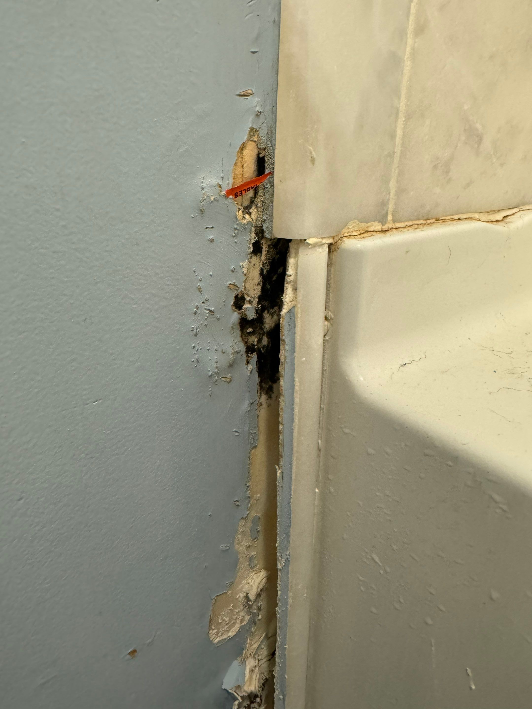 Bathroom Mold Remediation by Home Guarantee, LLC