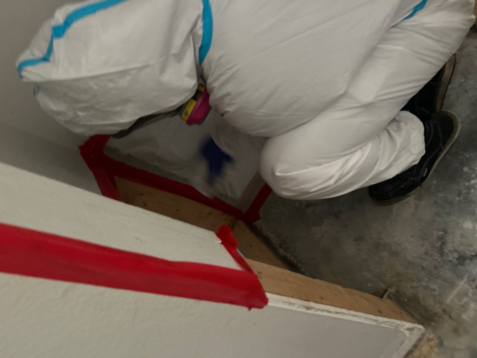 Stansell - water and mold photos  by THE RAPID TEAM