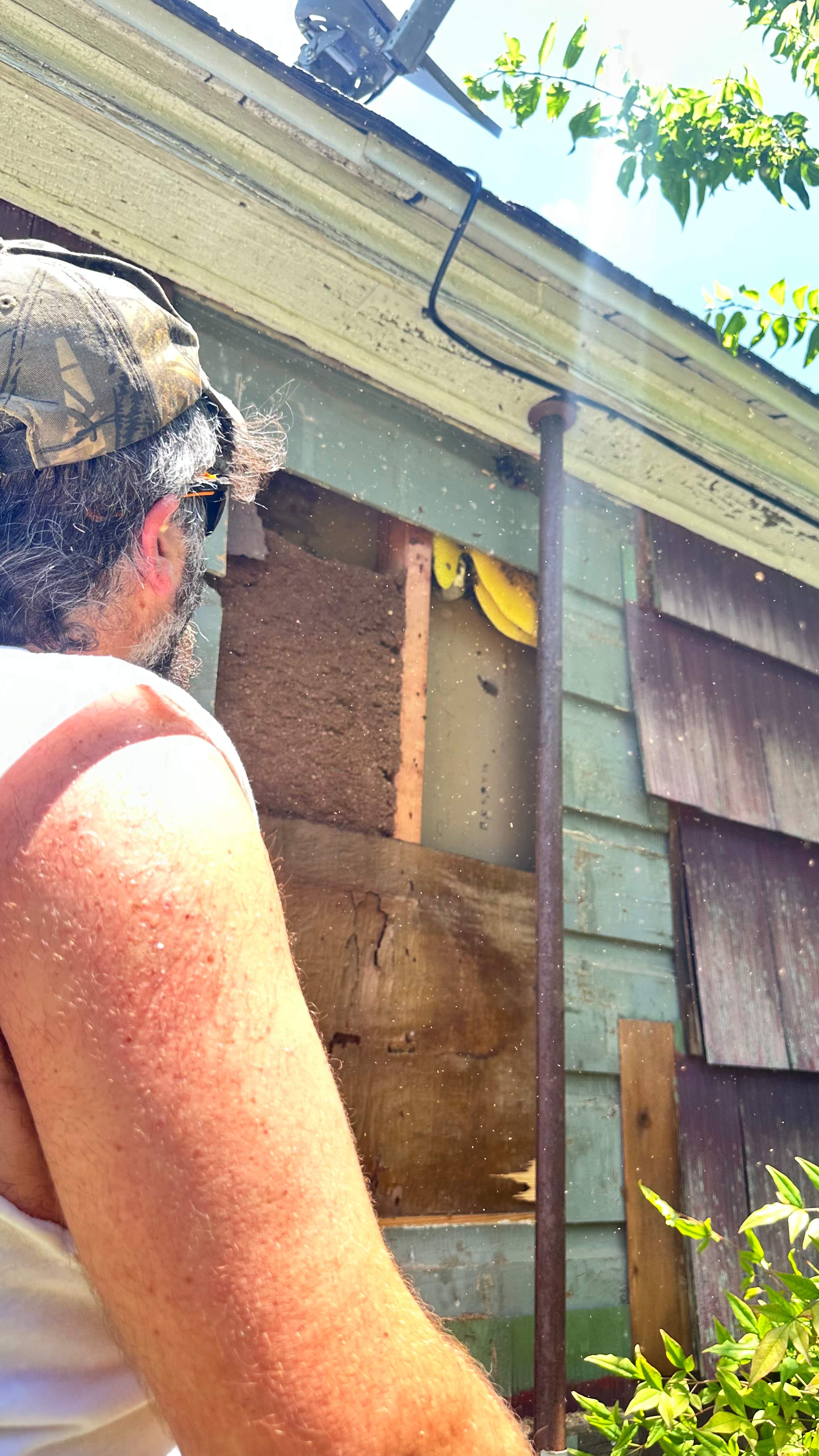 Behind Siding by Rockwall Honey Bee Company