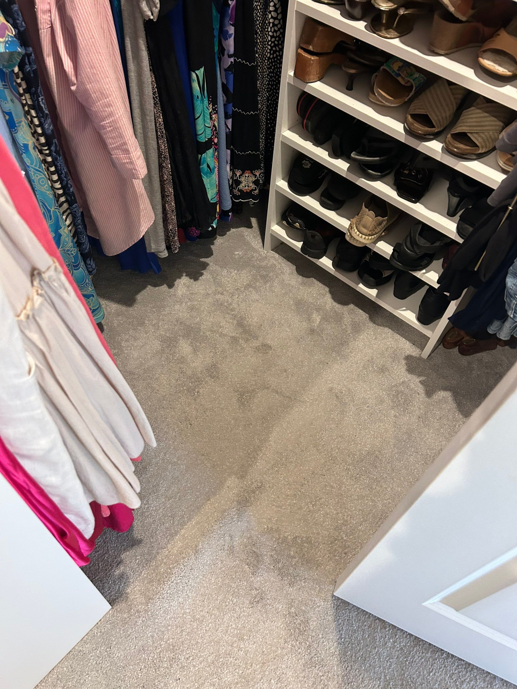 Carpet Demo to LVP by Vrmmm Flooring