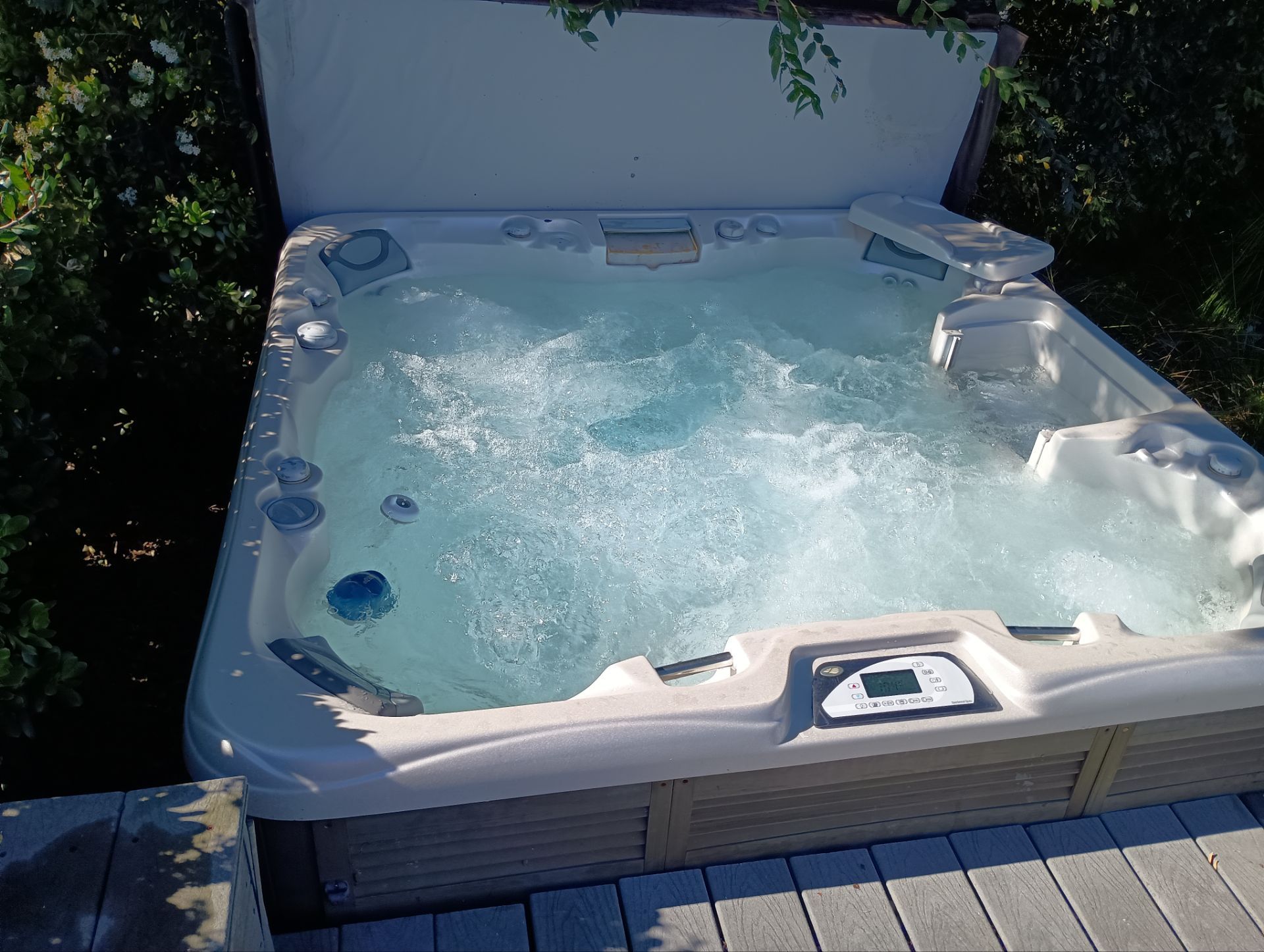 Project in San Diego (skip or photos) by Action Spa Repair LLC