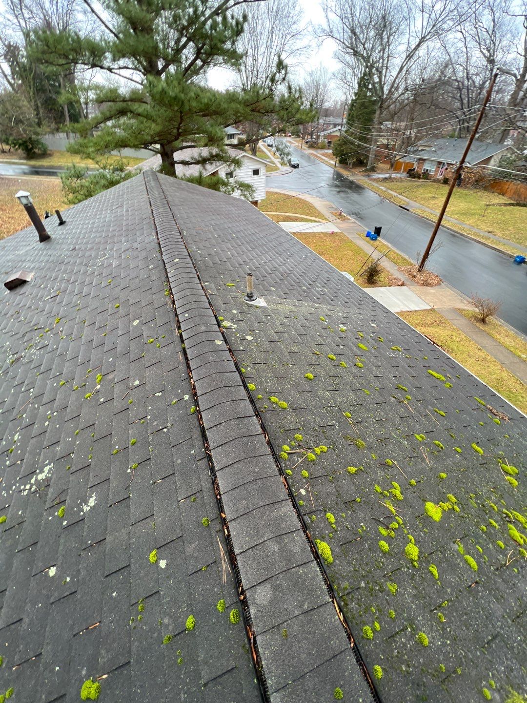 Fairfax: CertainTeed Landmark Pro Designer Shingles in Max Def Charcoal Black by RM Banning, Inc.