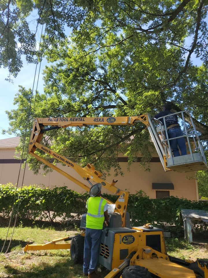 Tree Trimming using Tree Pruing by Mike Jones & Sons Tree Service LLC 