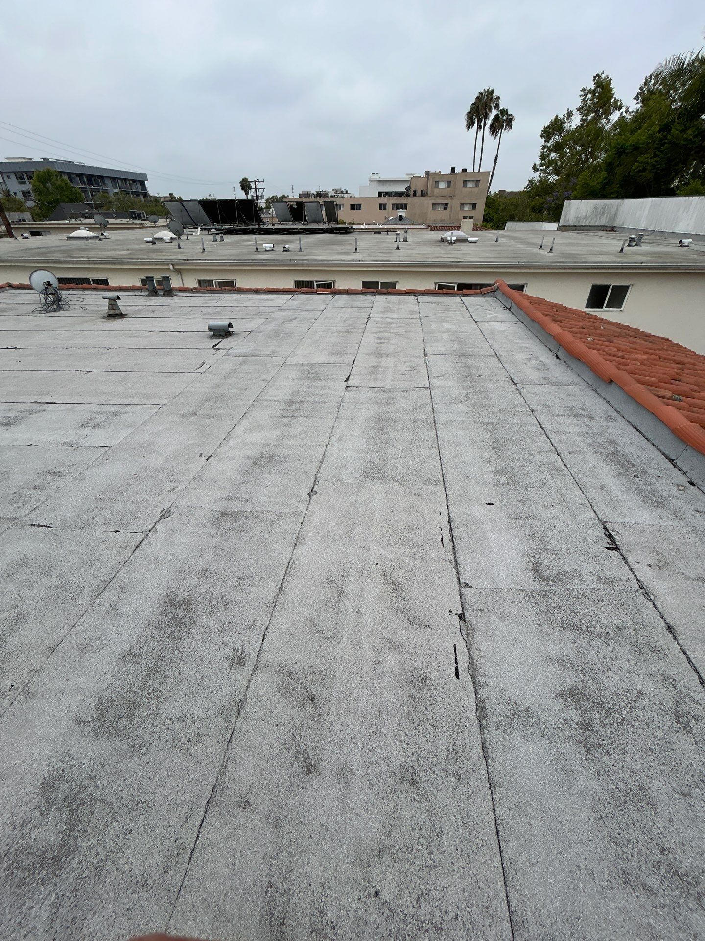 Beverly Hills Flat Roof Coating and Terracotta Tile Reset by Hull Brothers Roofing