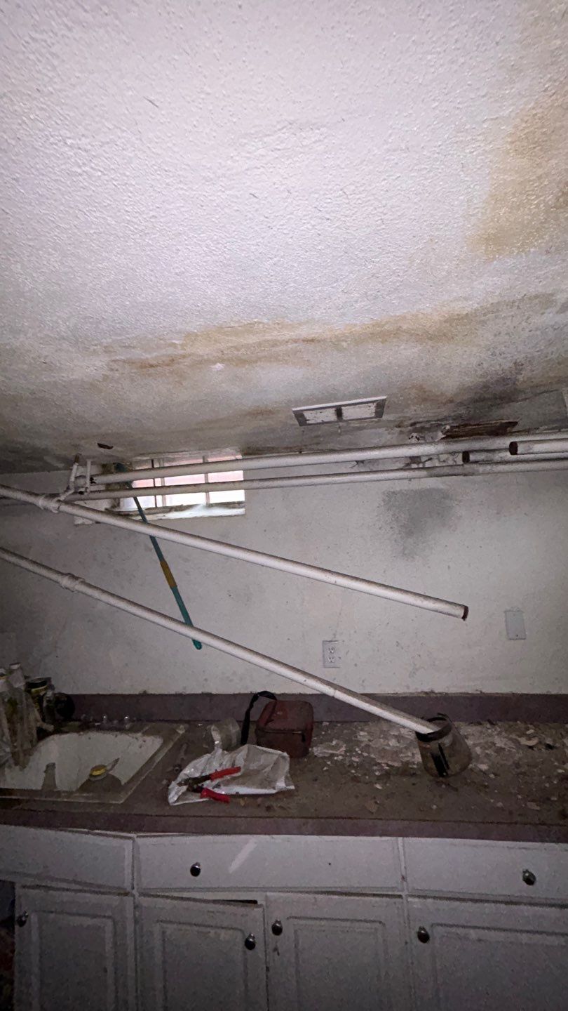 Mold Remediation by Accountable Home Services